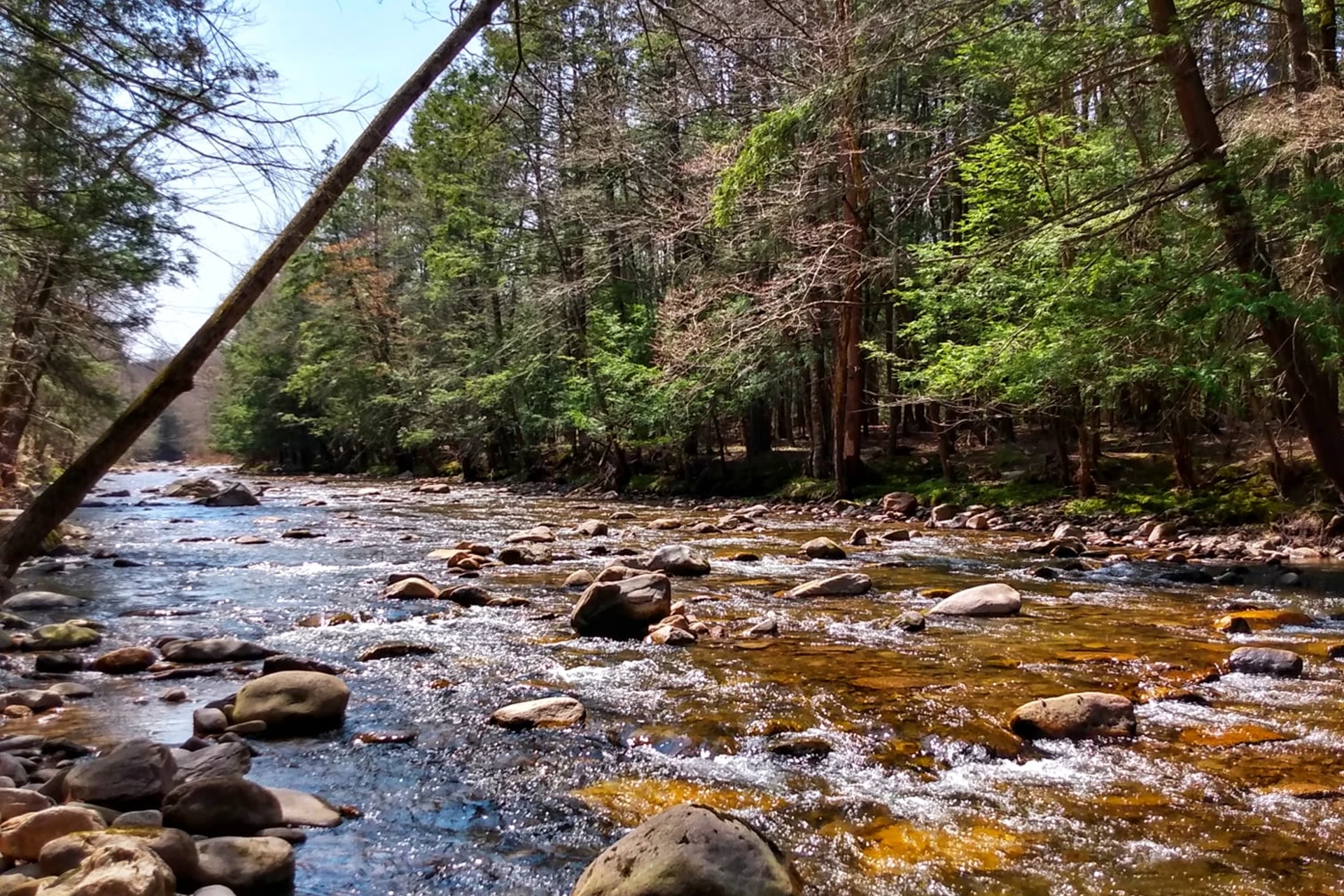 Bowman Creek preview photo