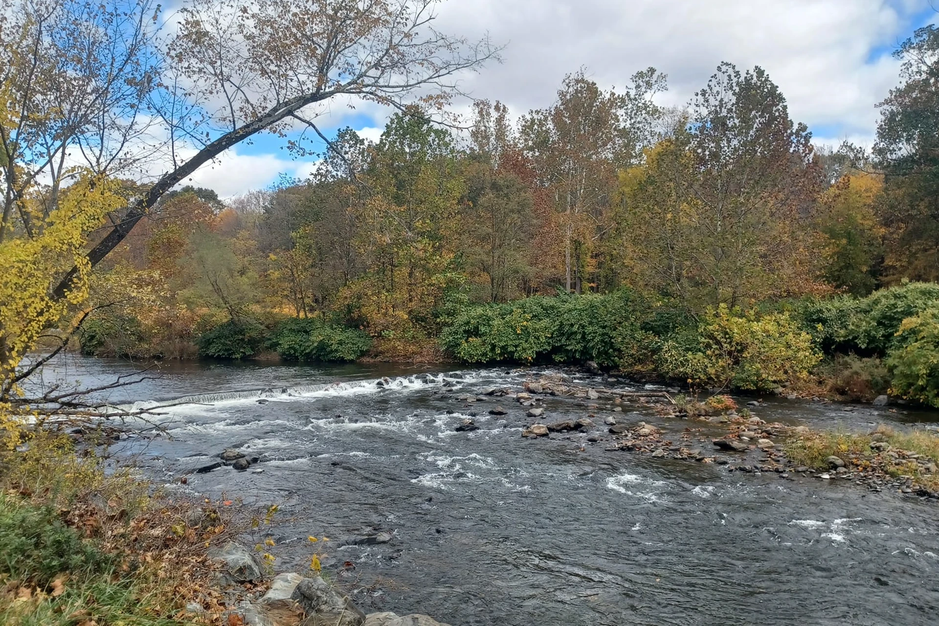 Brodhead Creek preview photo