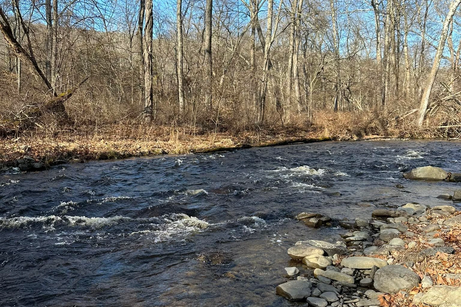 Bushkill Creek preview photo