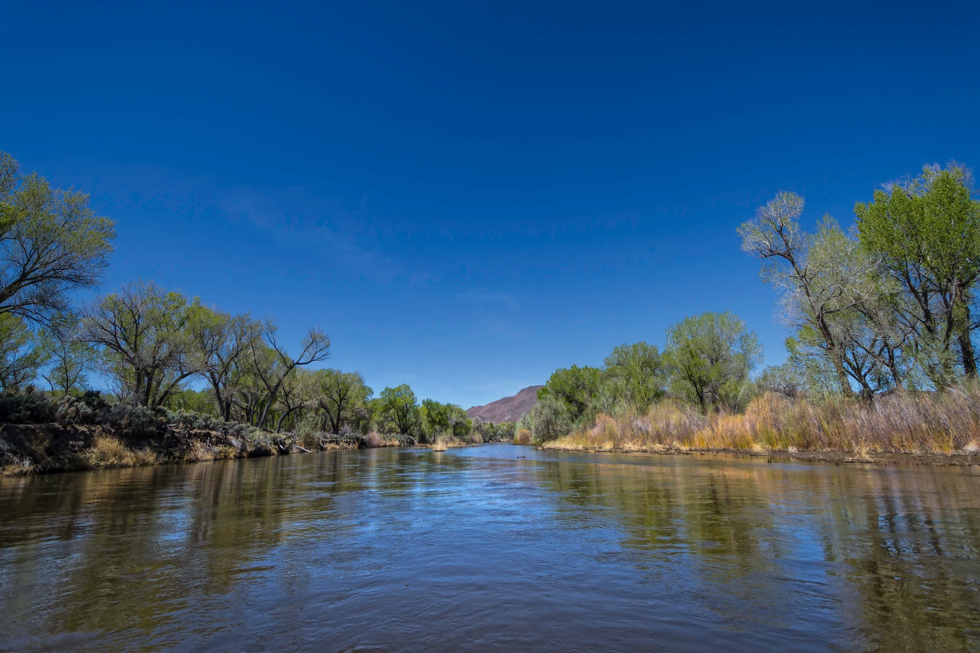 Carson River – East Fork preview photo