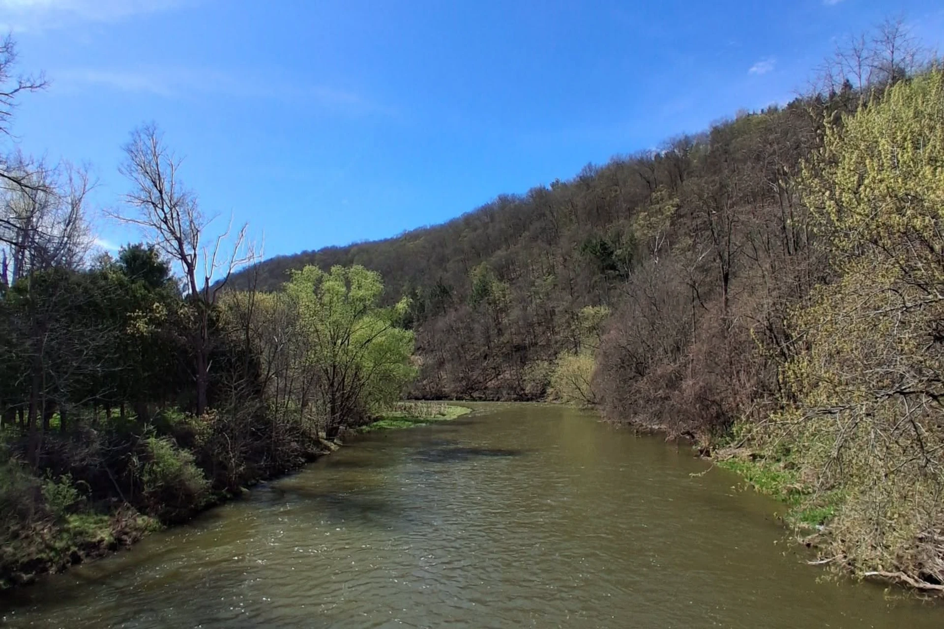 Cohocton River preview photo