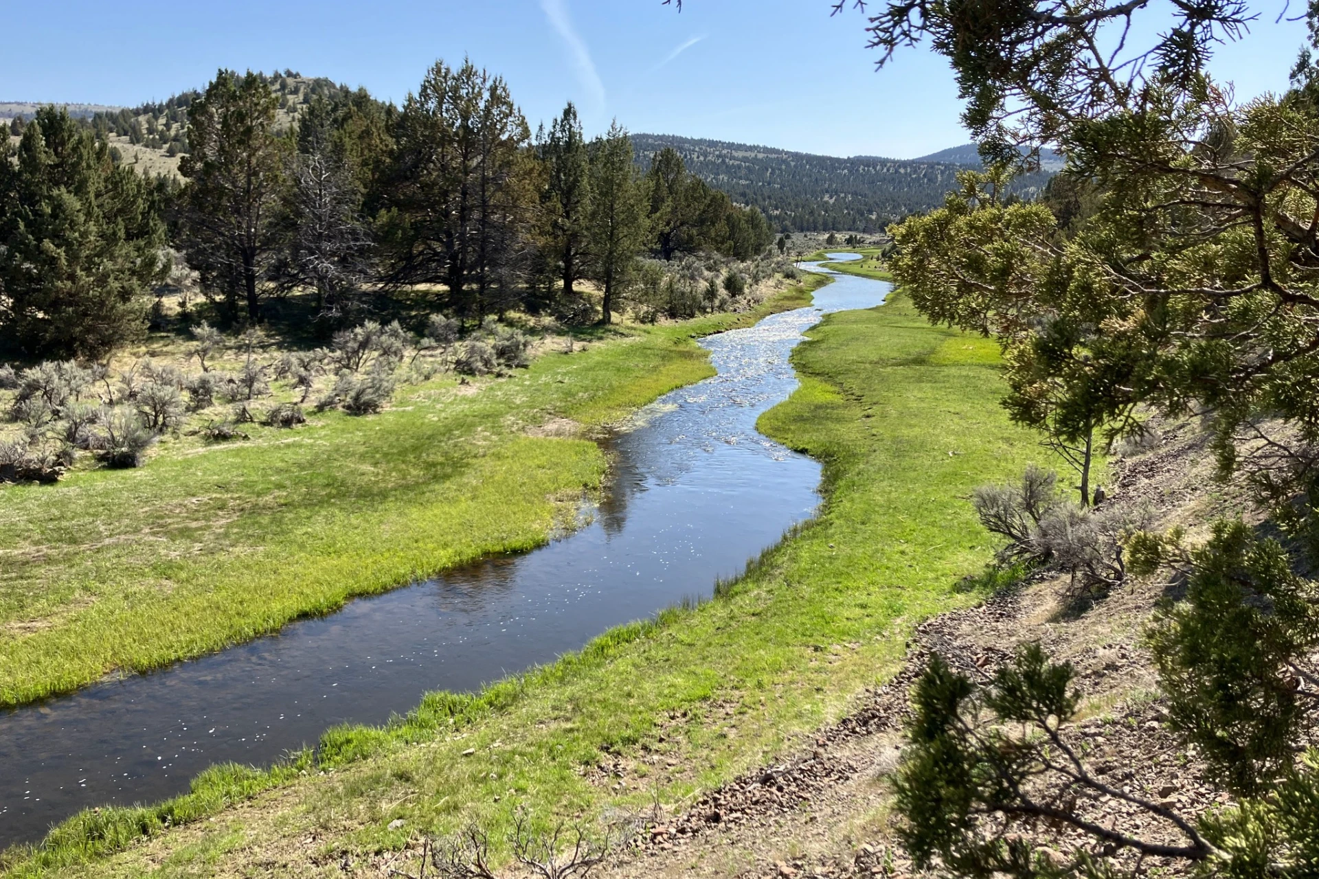Crooked River - South Fork preview photo