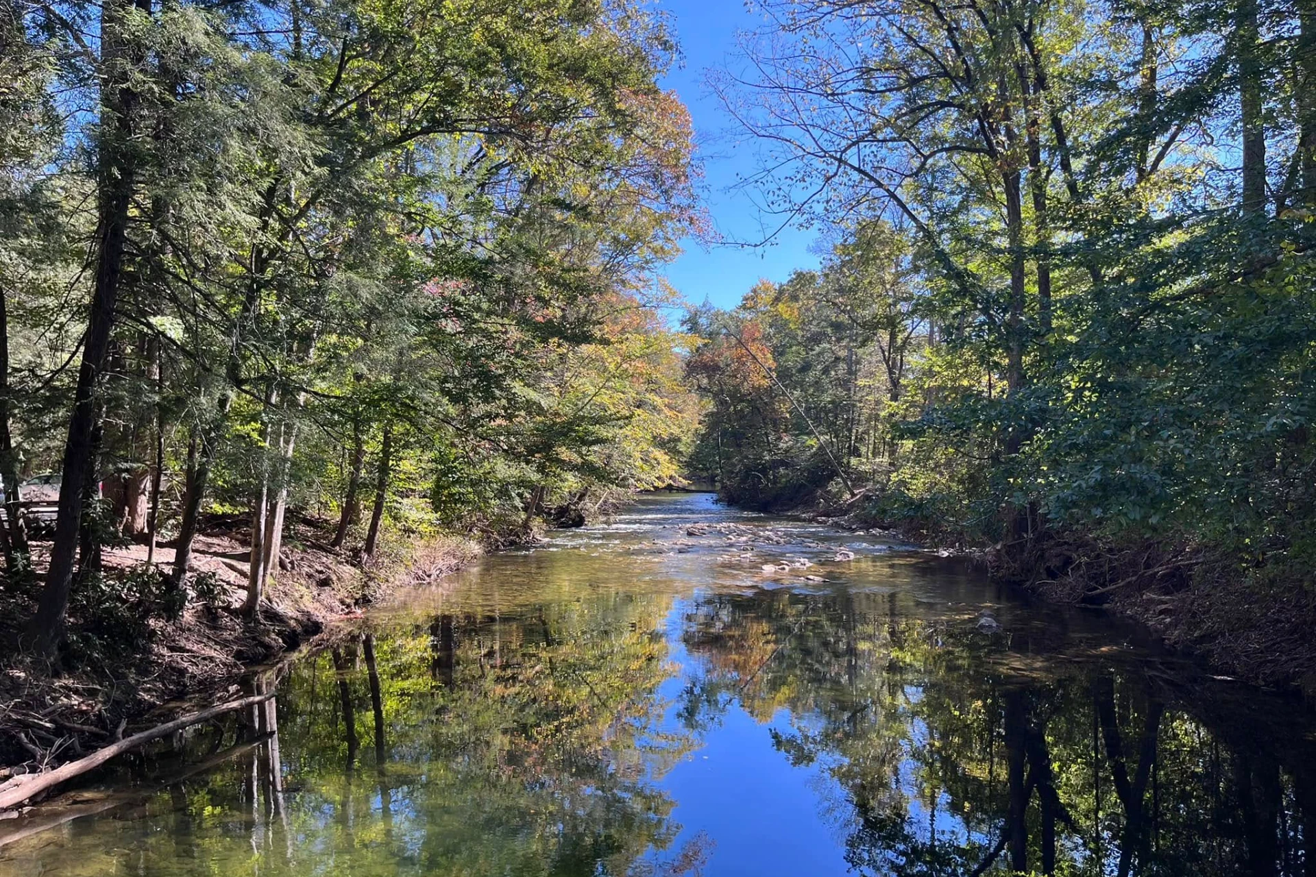 Davidson River preview photo