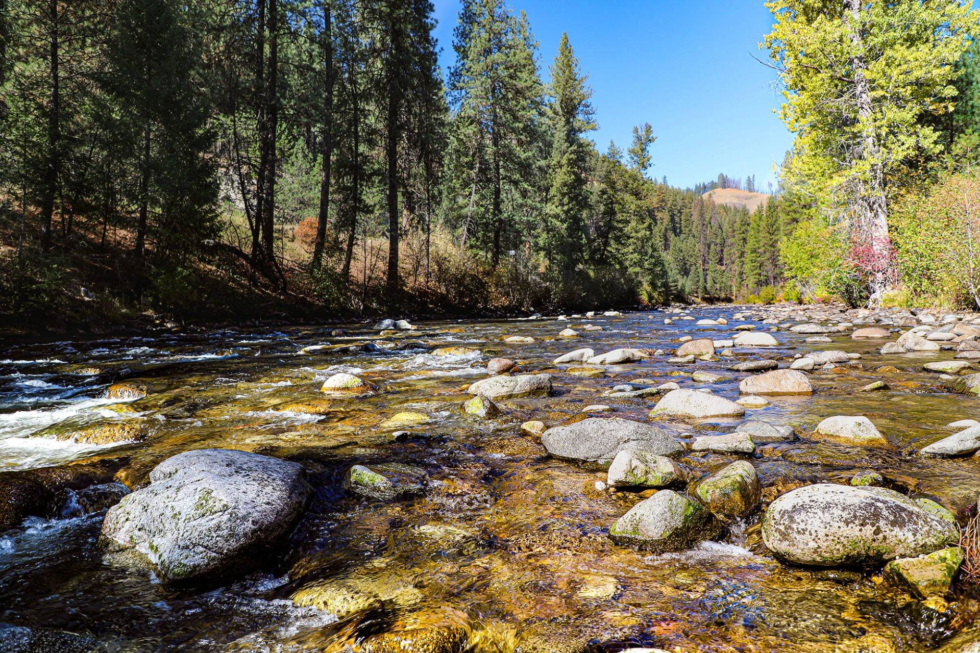 Deadwood River
