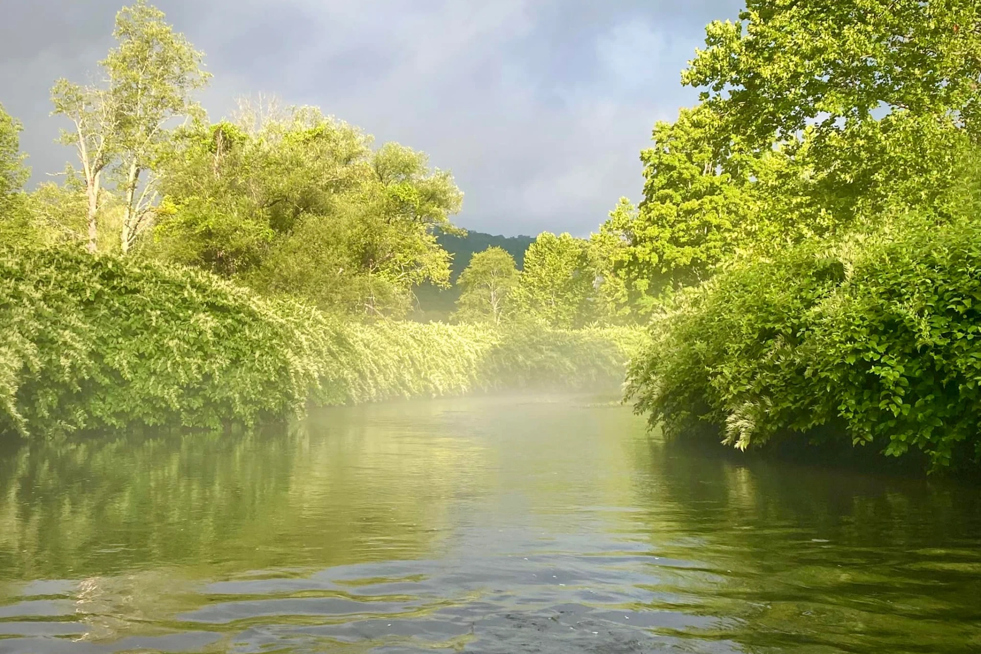 Delaware River - West Branch preview photo