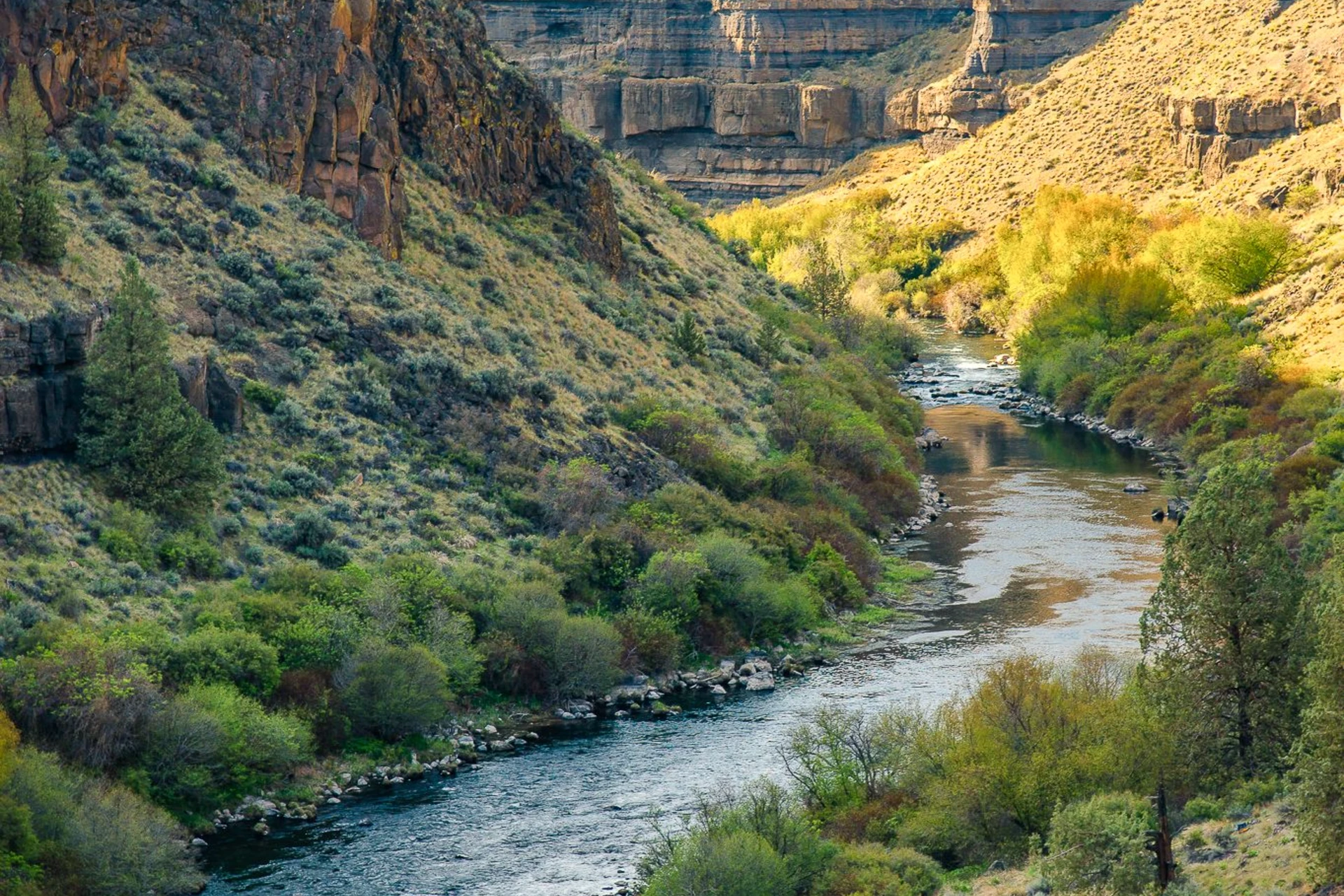 Deschutes River - Middle preview photo