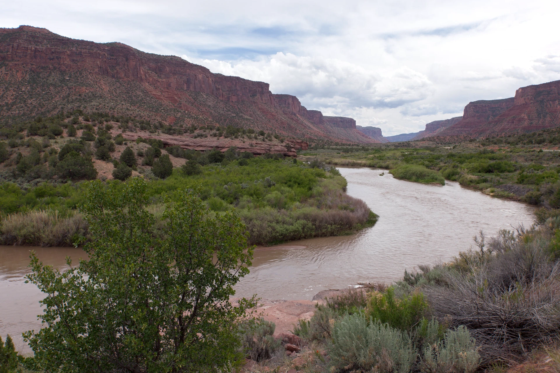 Dolores River preview photo