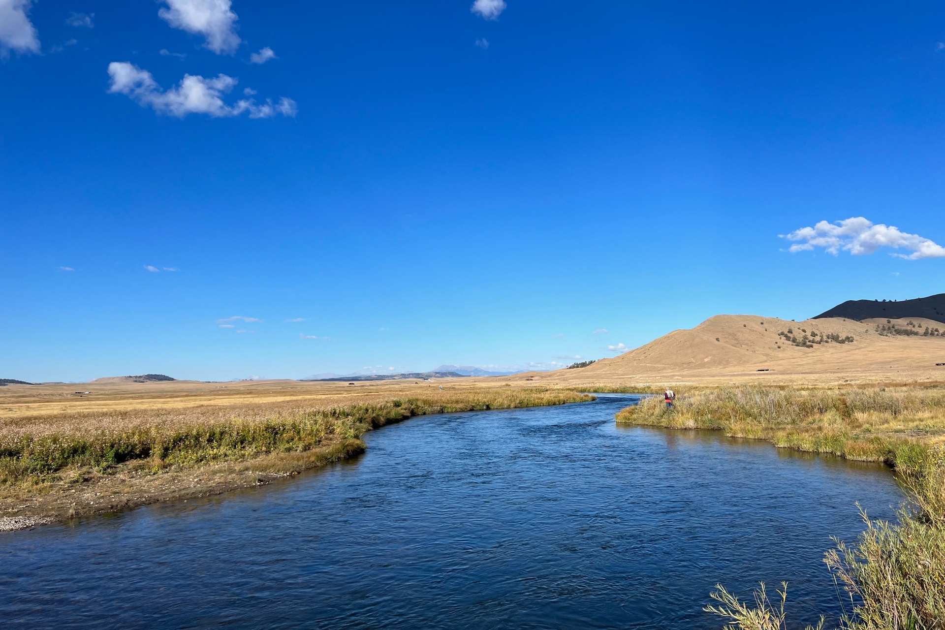 South Platte - Dream Stream preview photo