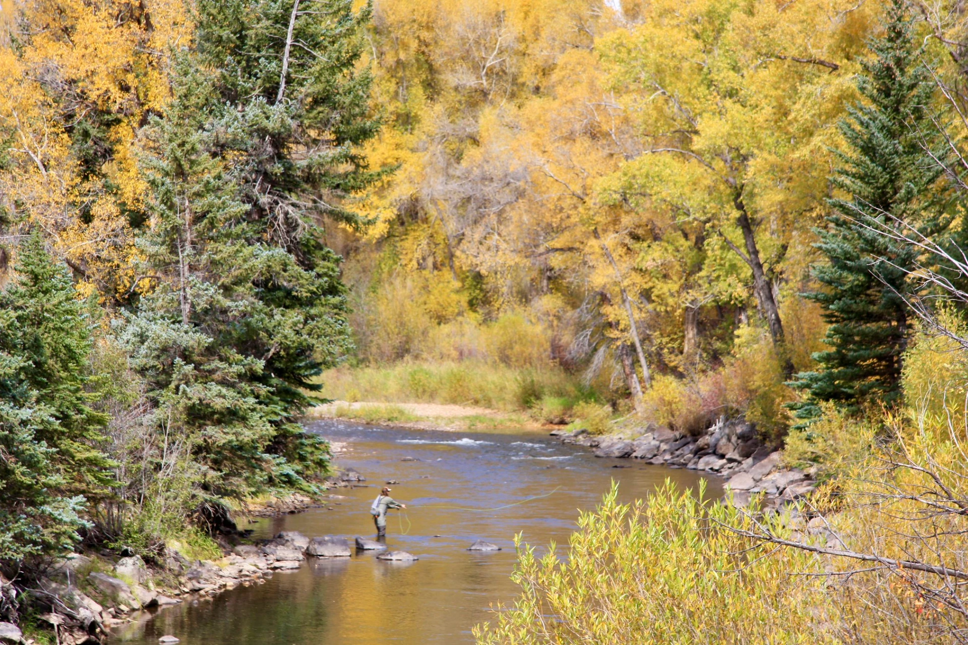 Elk River preview photo