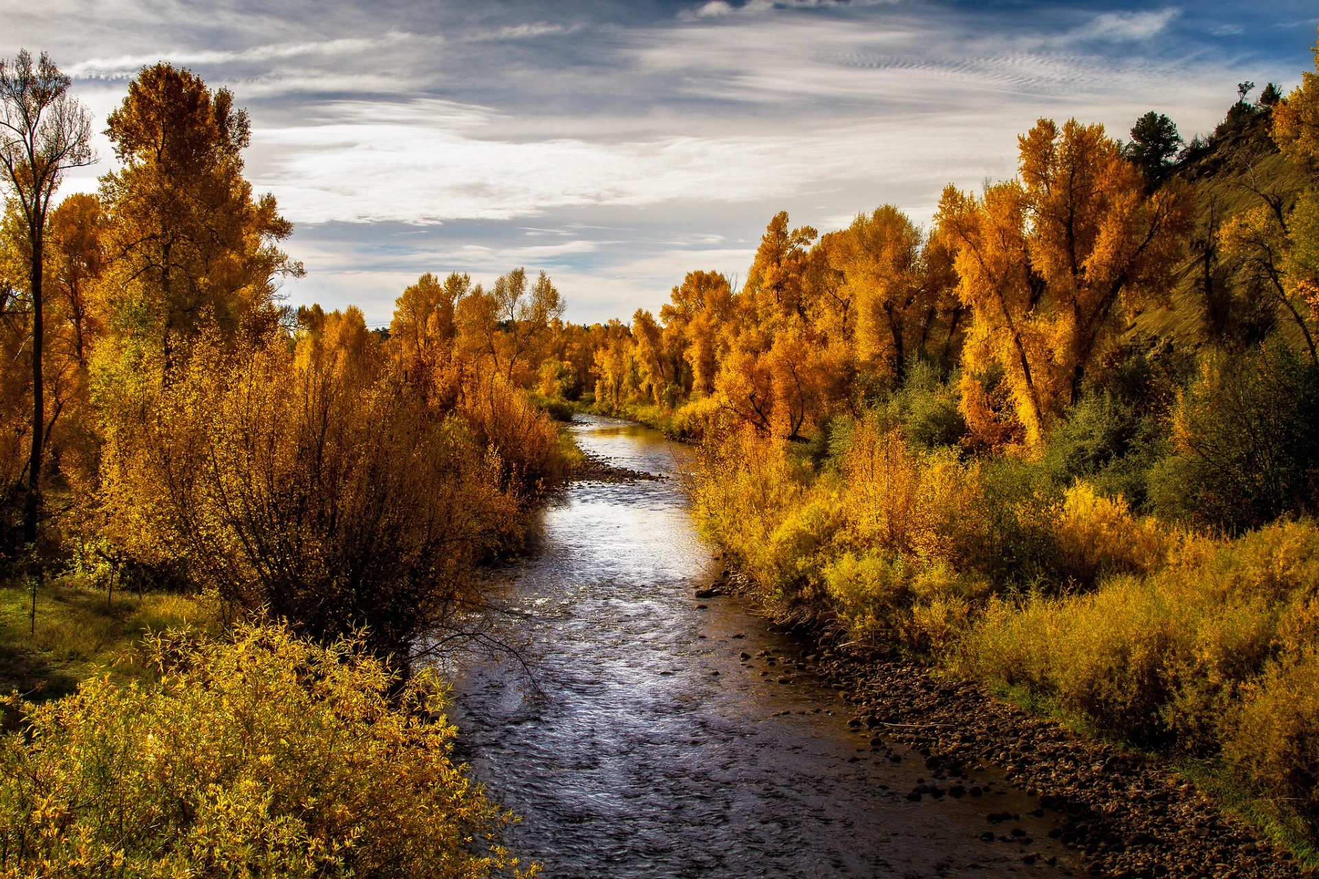Florida River - Upper preview photo