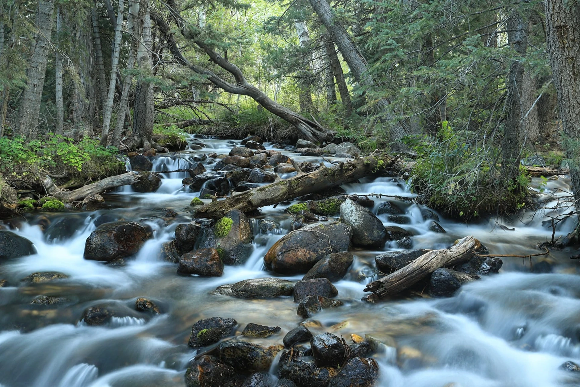 Great Basin National Park preview photo