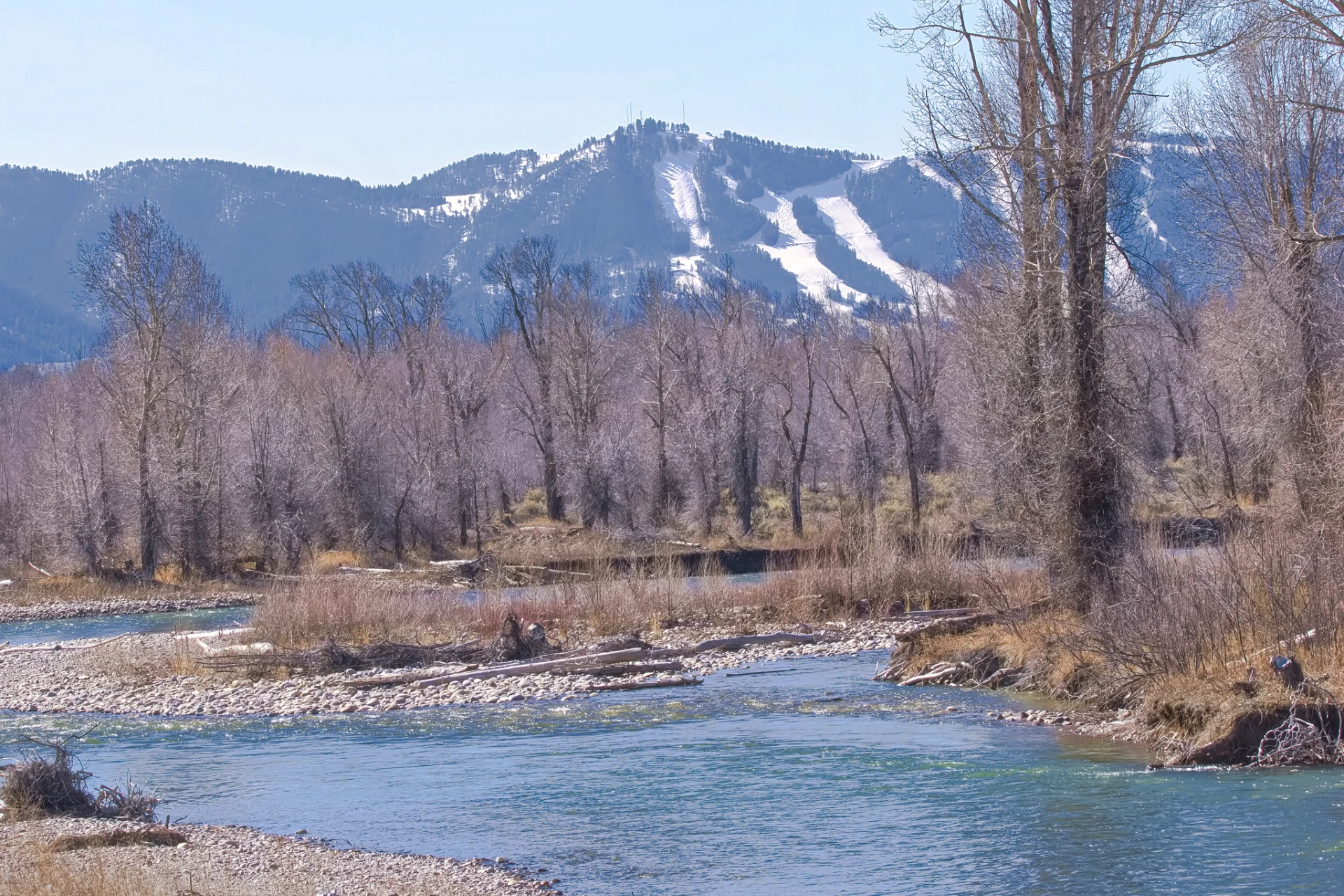 Gros Ventre River preview photo