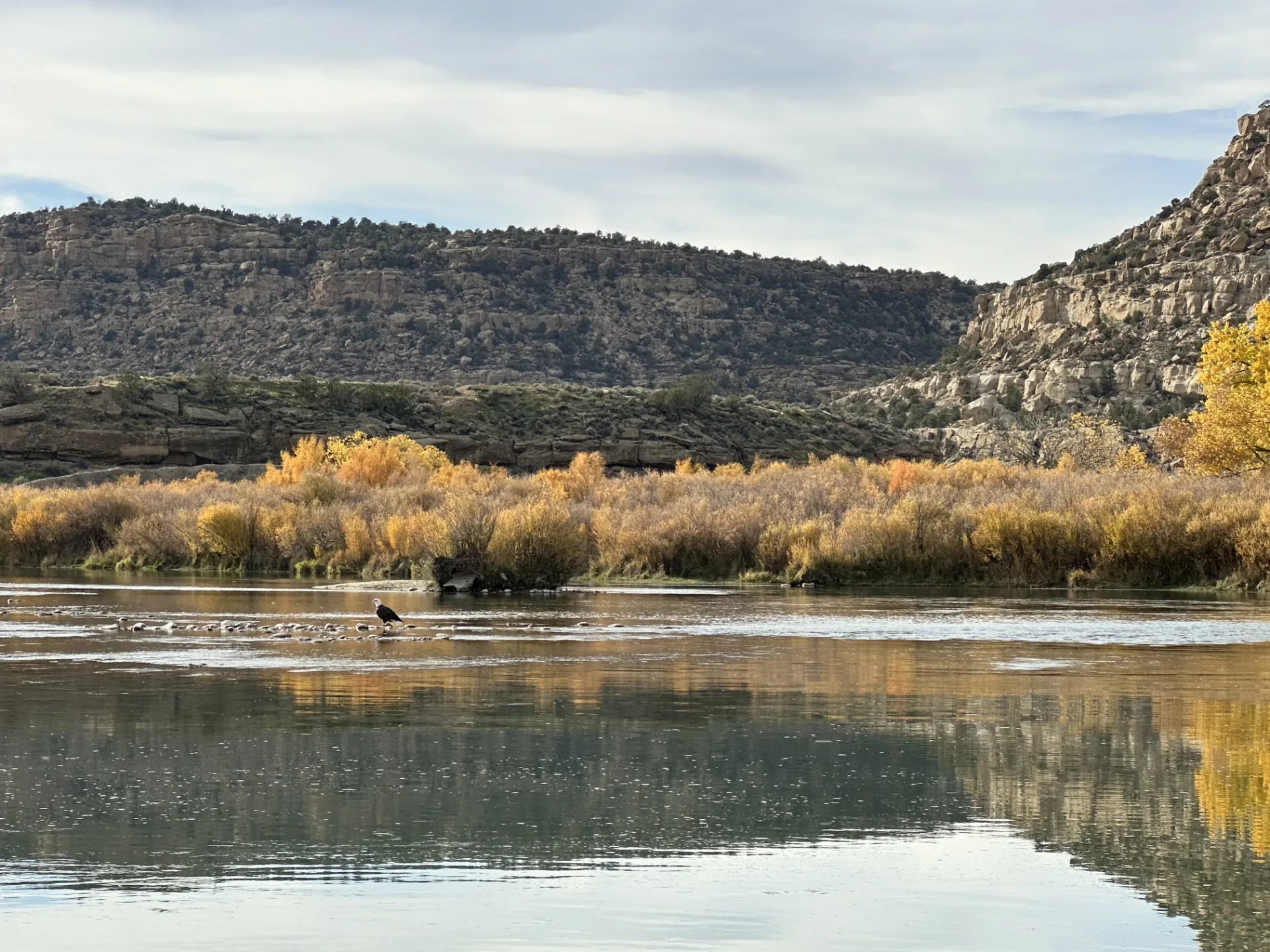 Home Water: San Juan River — Texas Hole to Crusher Hole