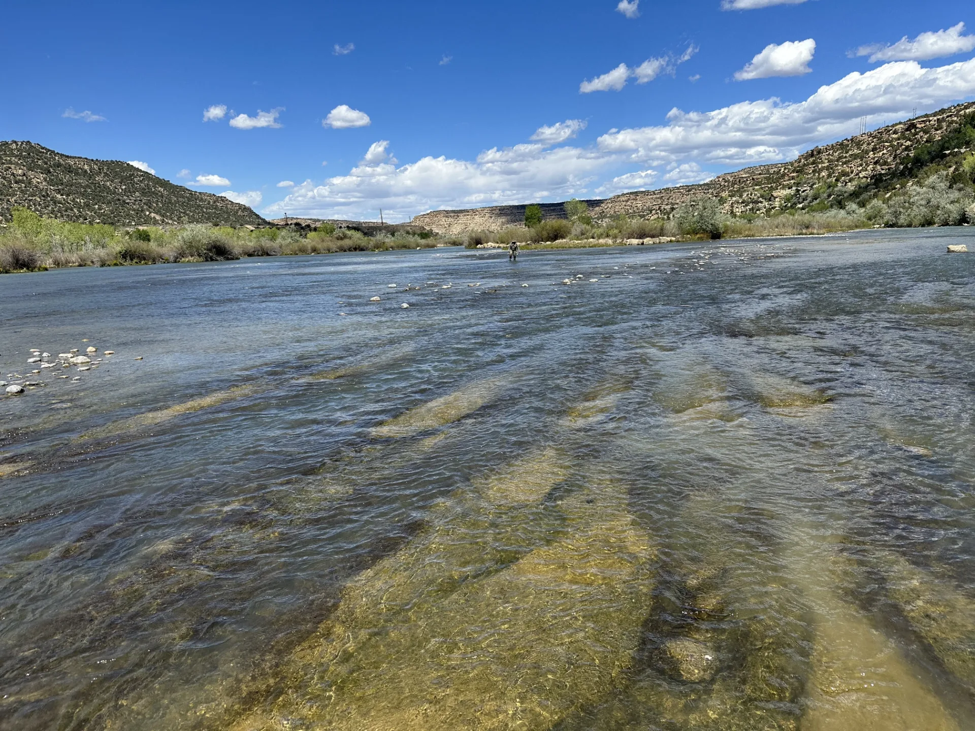 wading the San Juan River