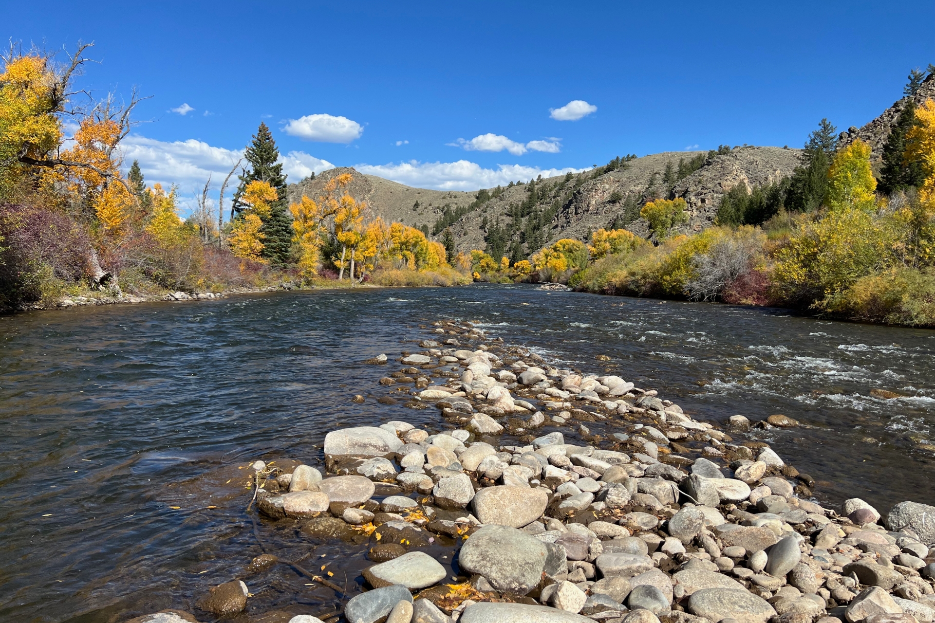 Gunnison River preview photo