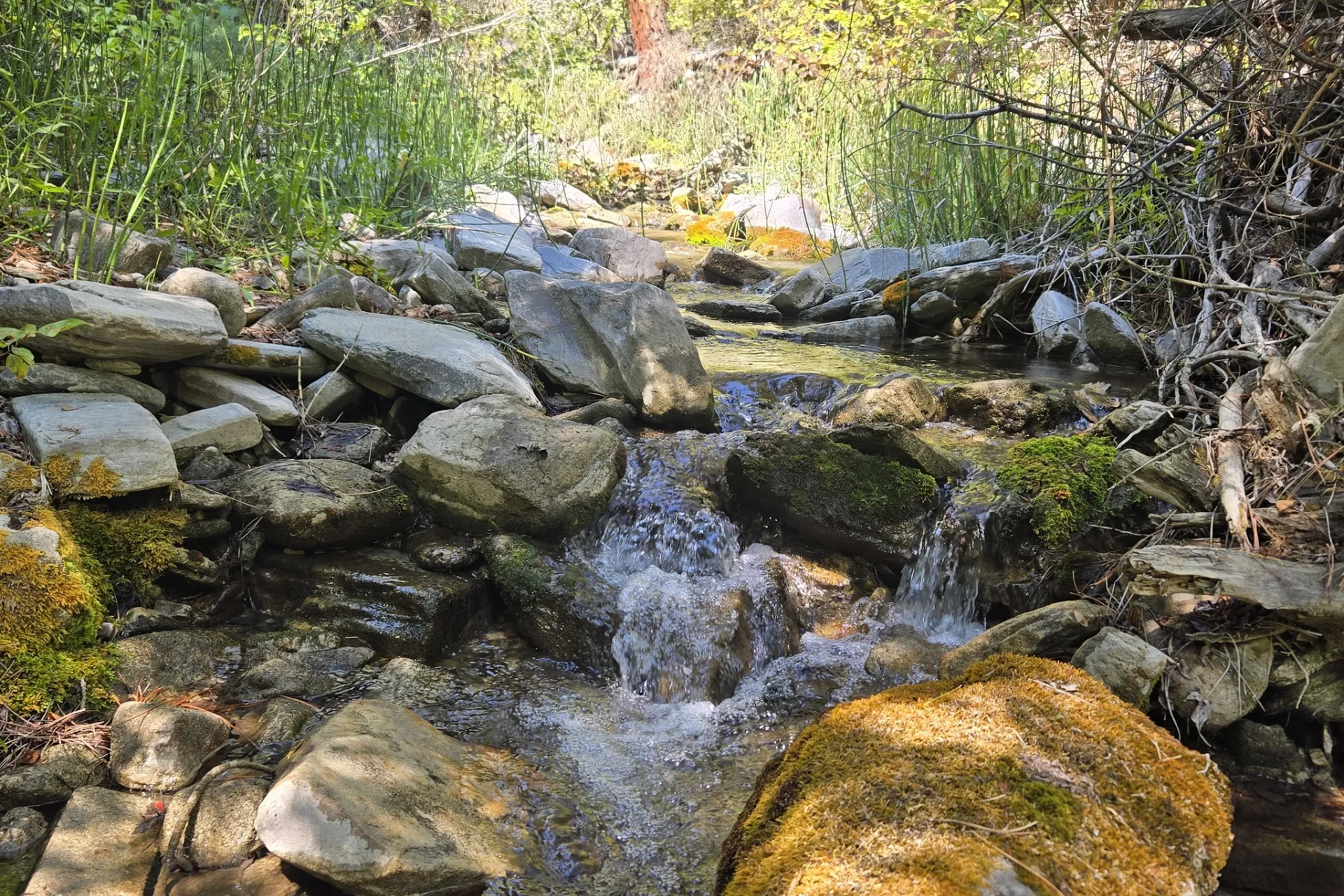 Hendry's Creek preview photo