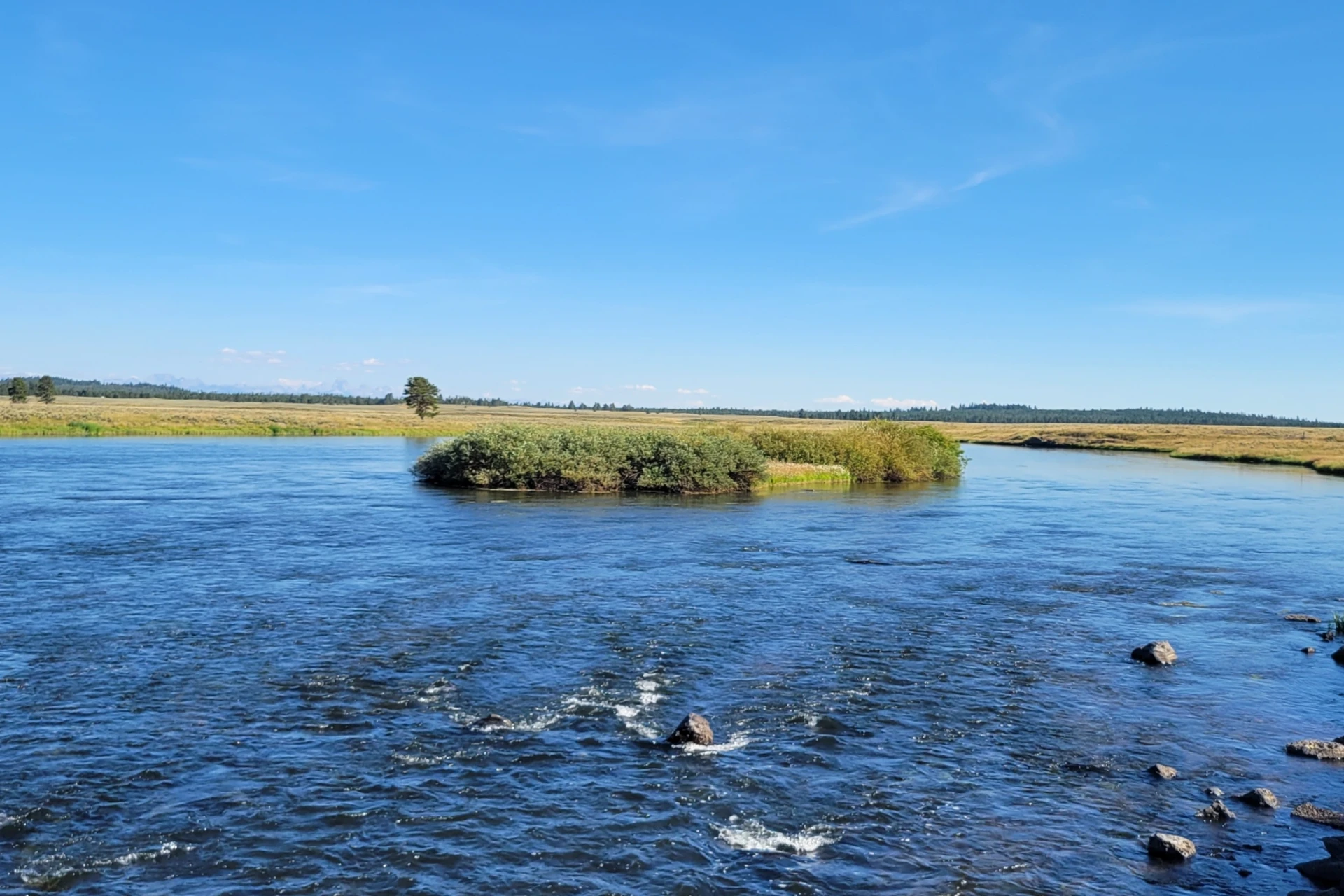 Henry's Fork preview photo