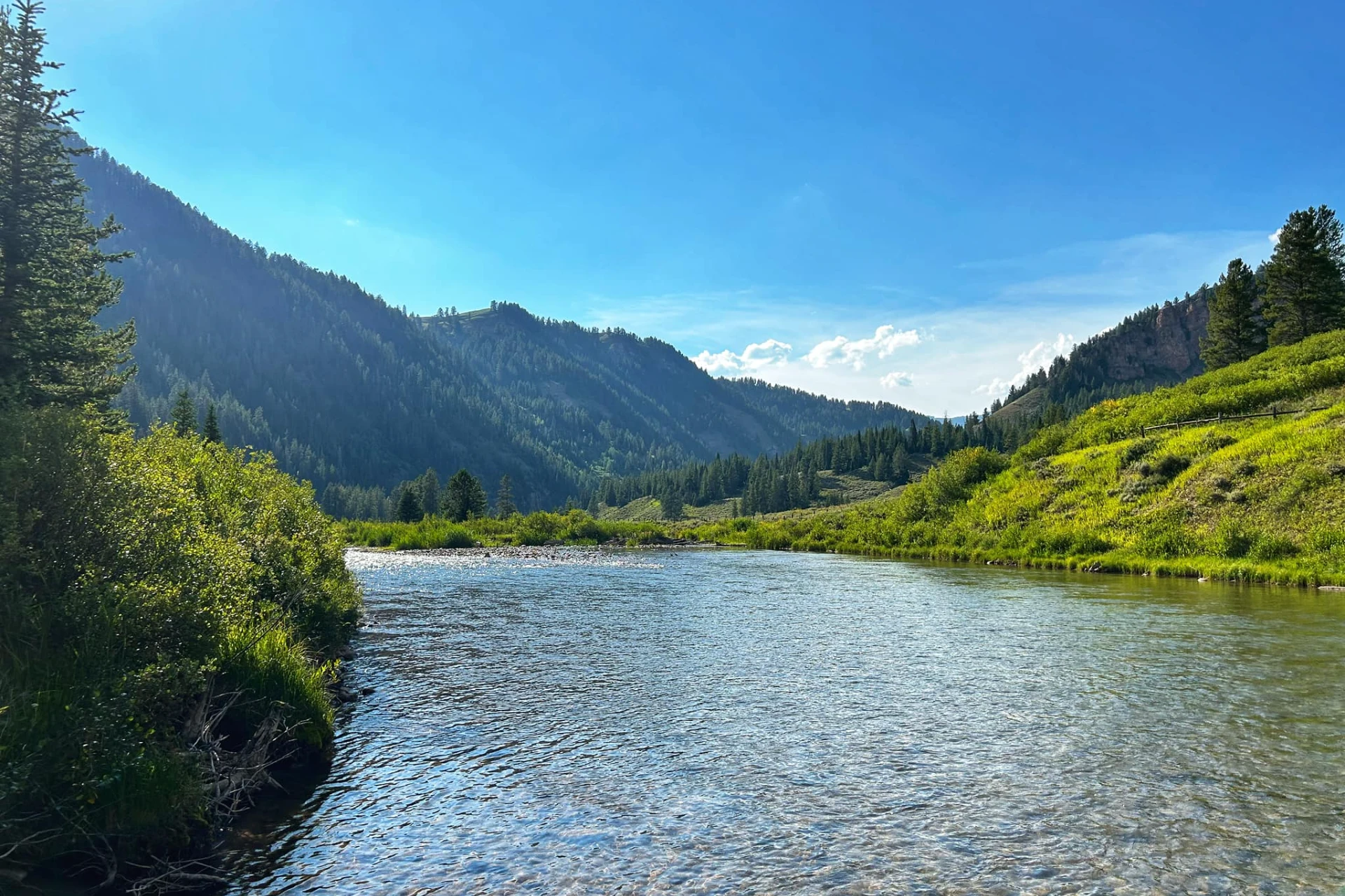 Hoback River preview photo