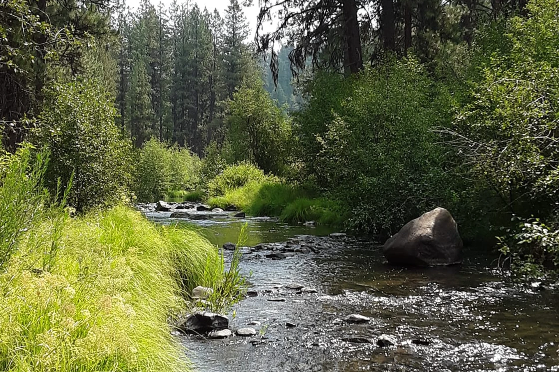 John Day - Middle Fork preview photo