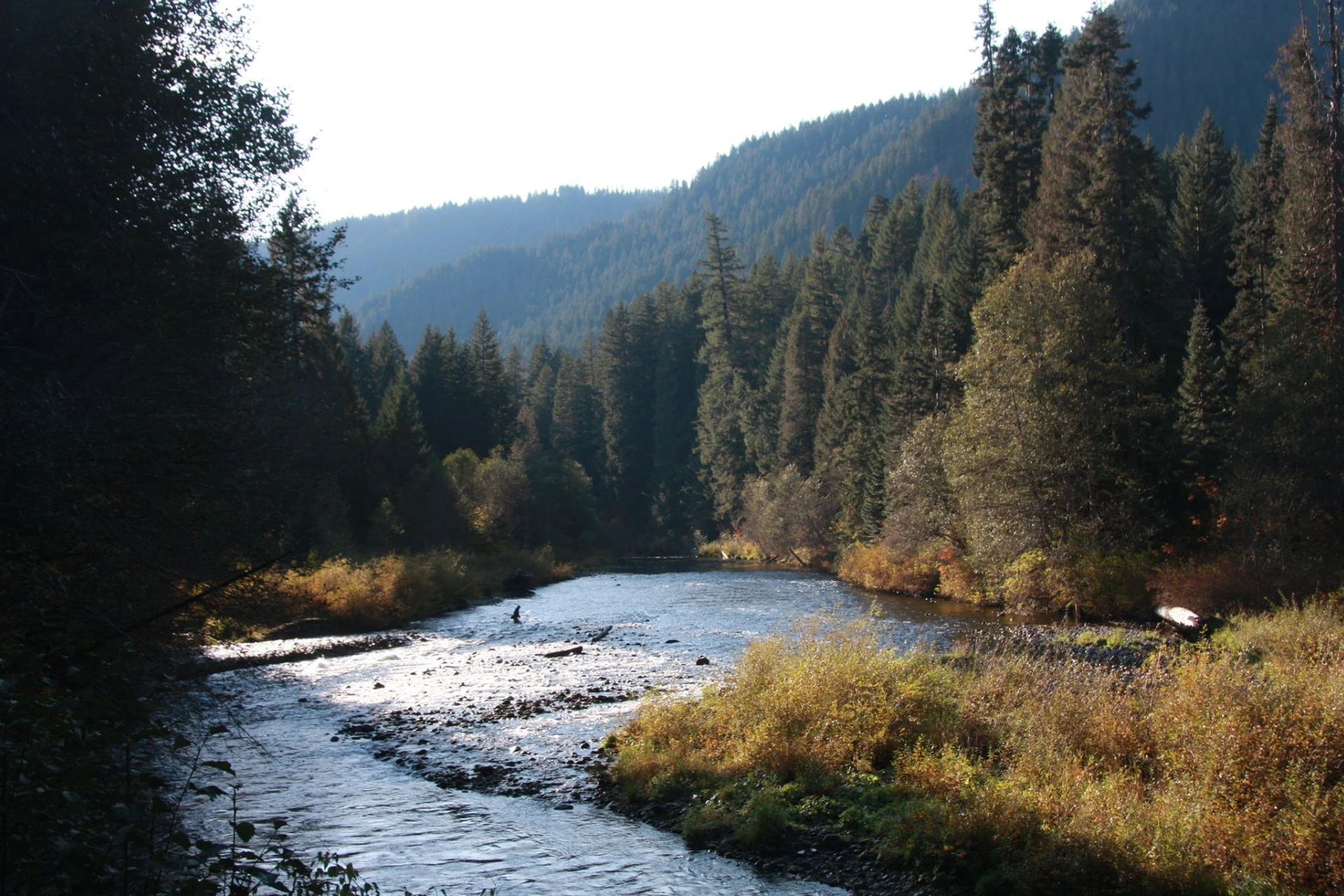 Kelly Creek preview photo