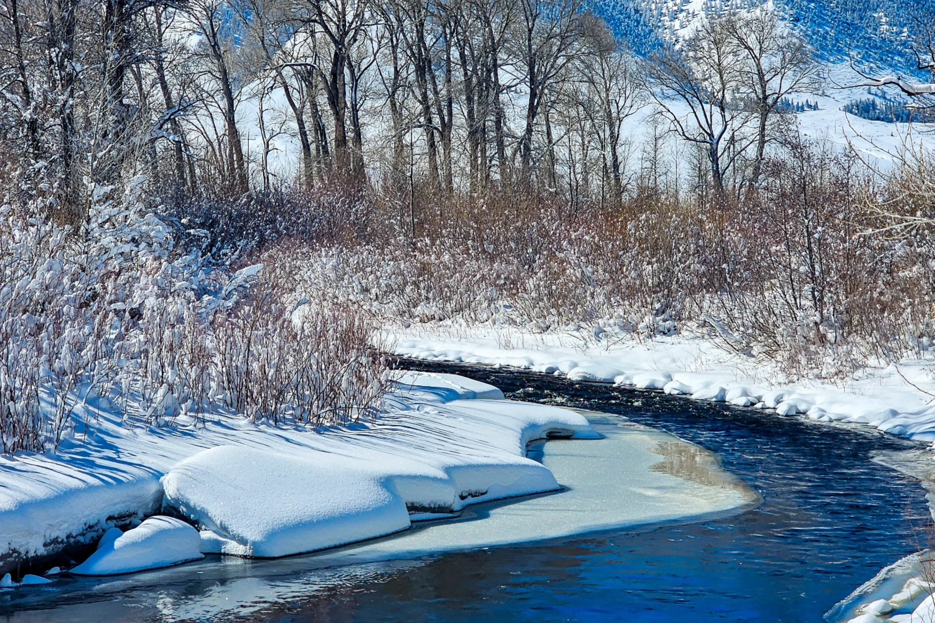 Little Laramie River preview photo