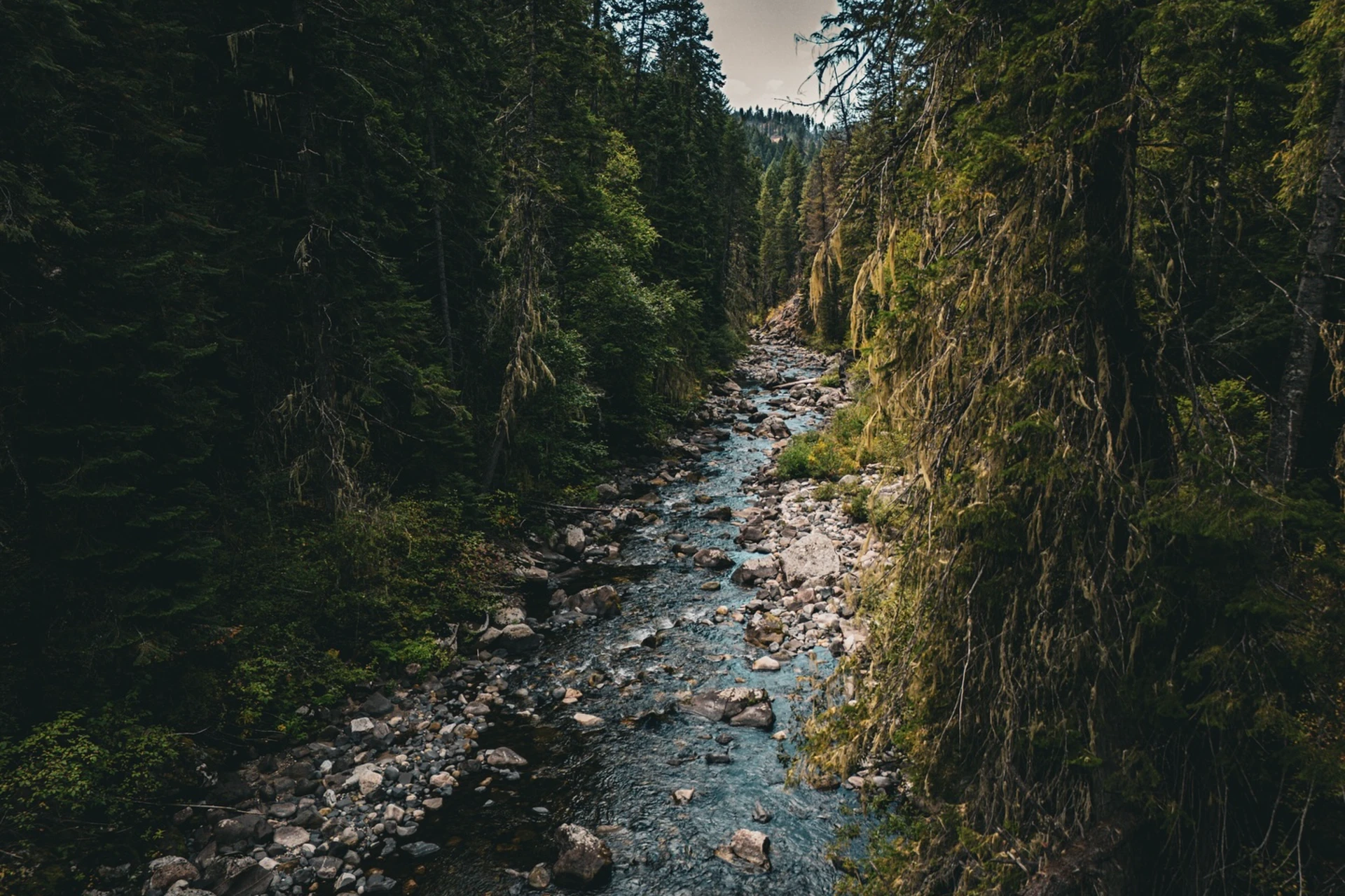 Little Salmon River preview photo