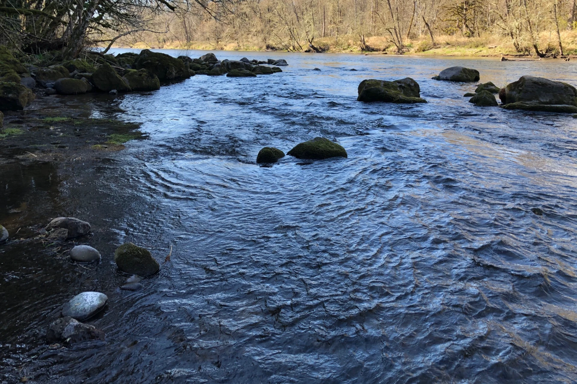McKenzie River - Lower preview photo