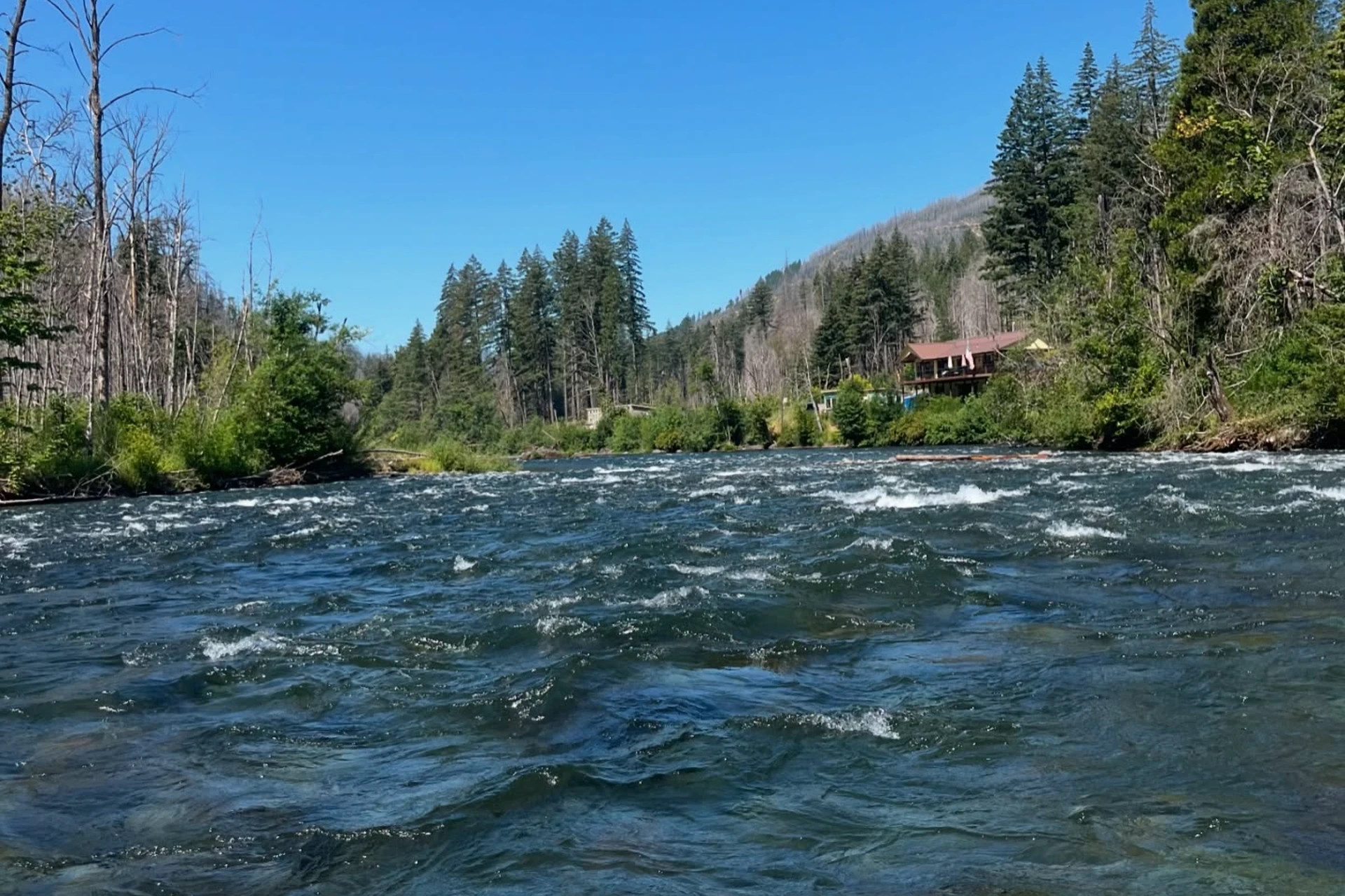 McKenzie River - Middle preview photo