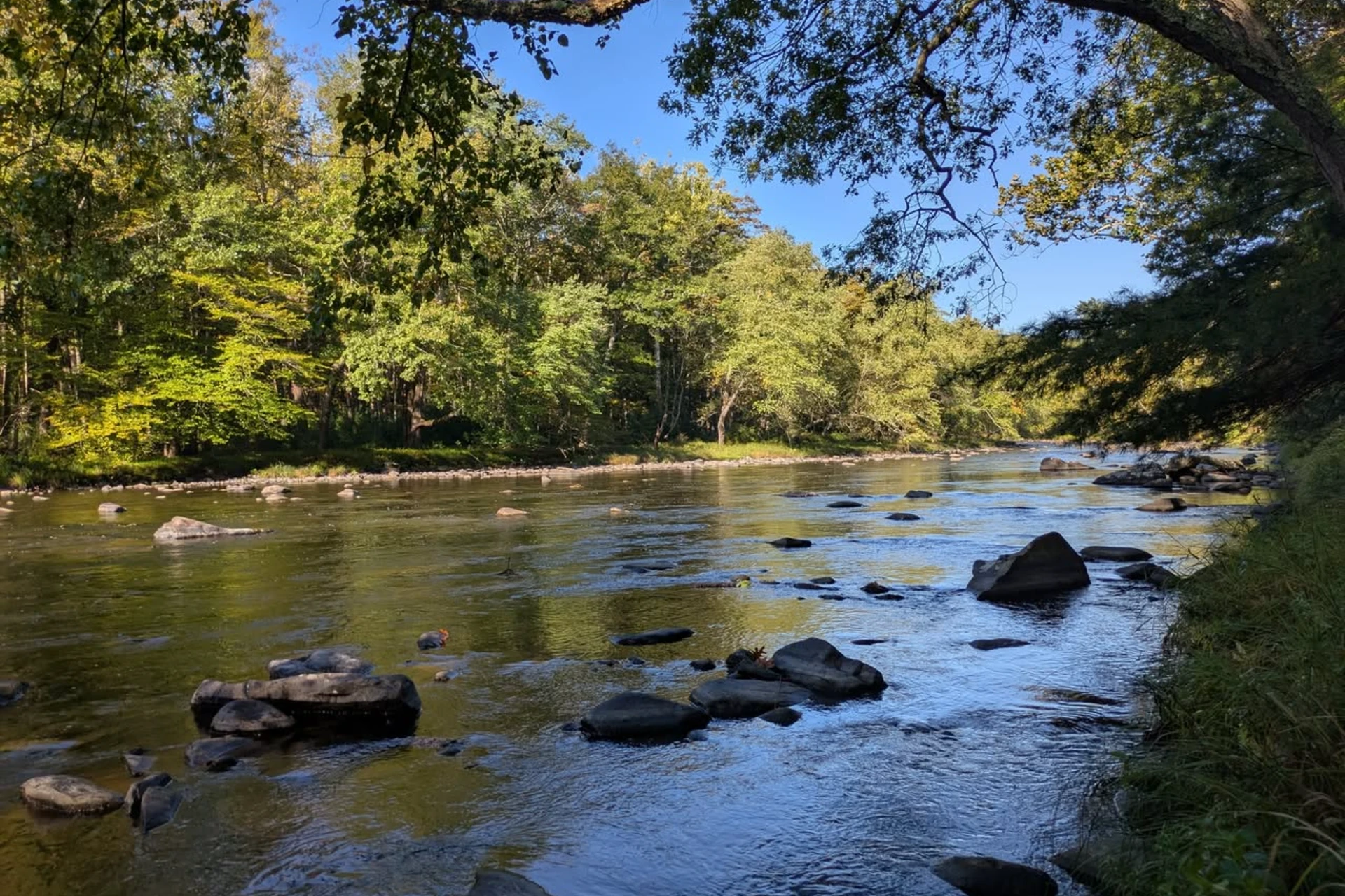 Neversink River preview photo