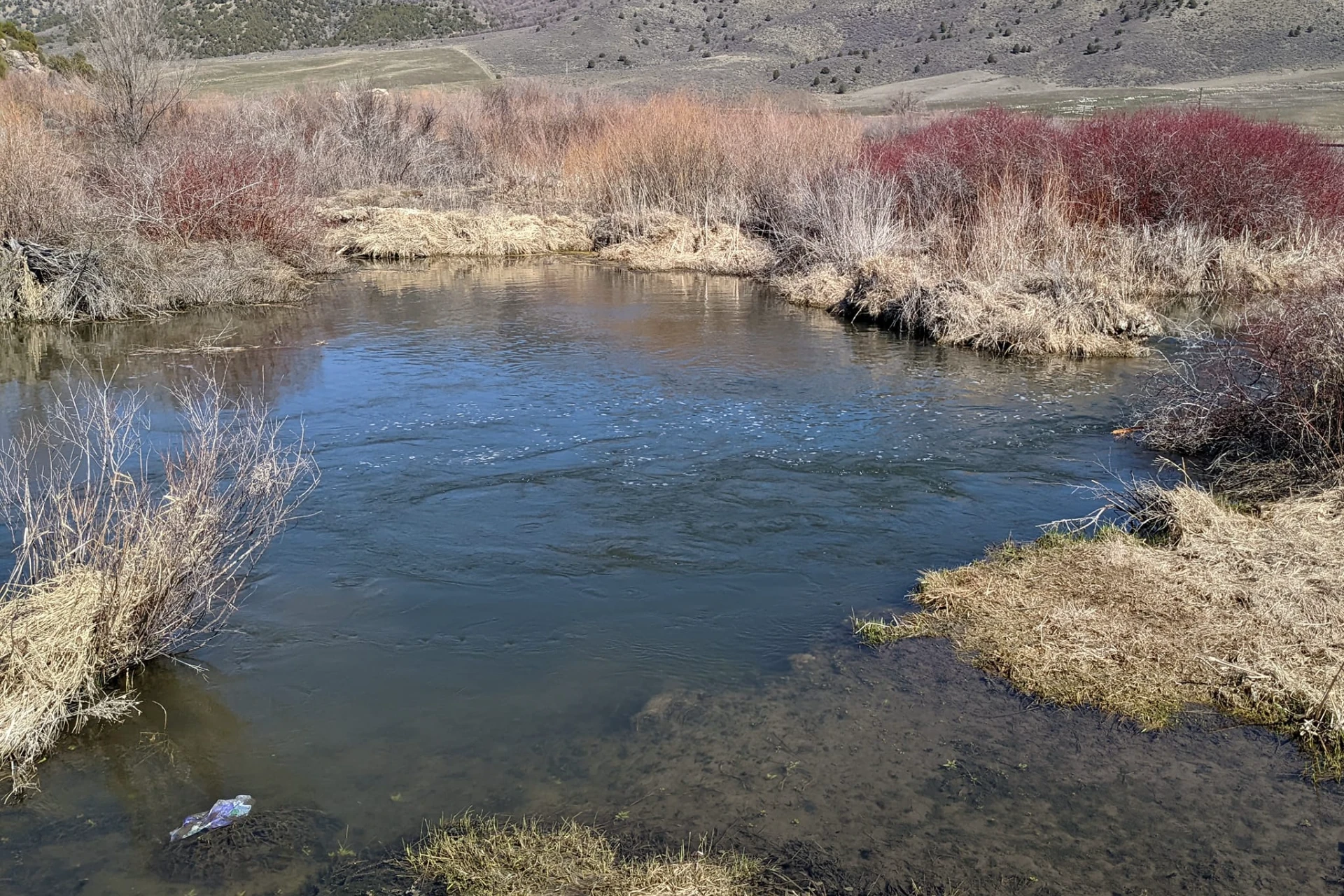 Portneuf River preview photo