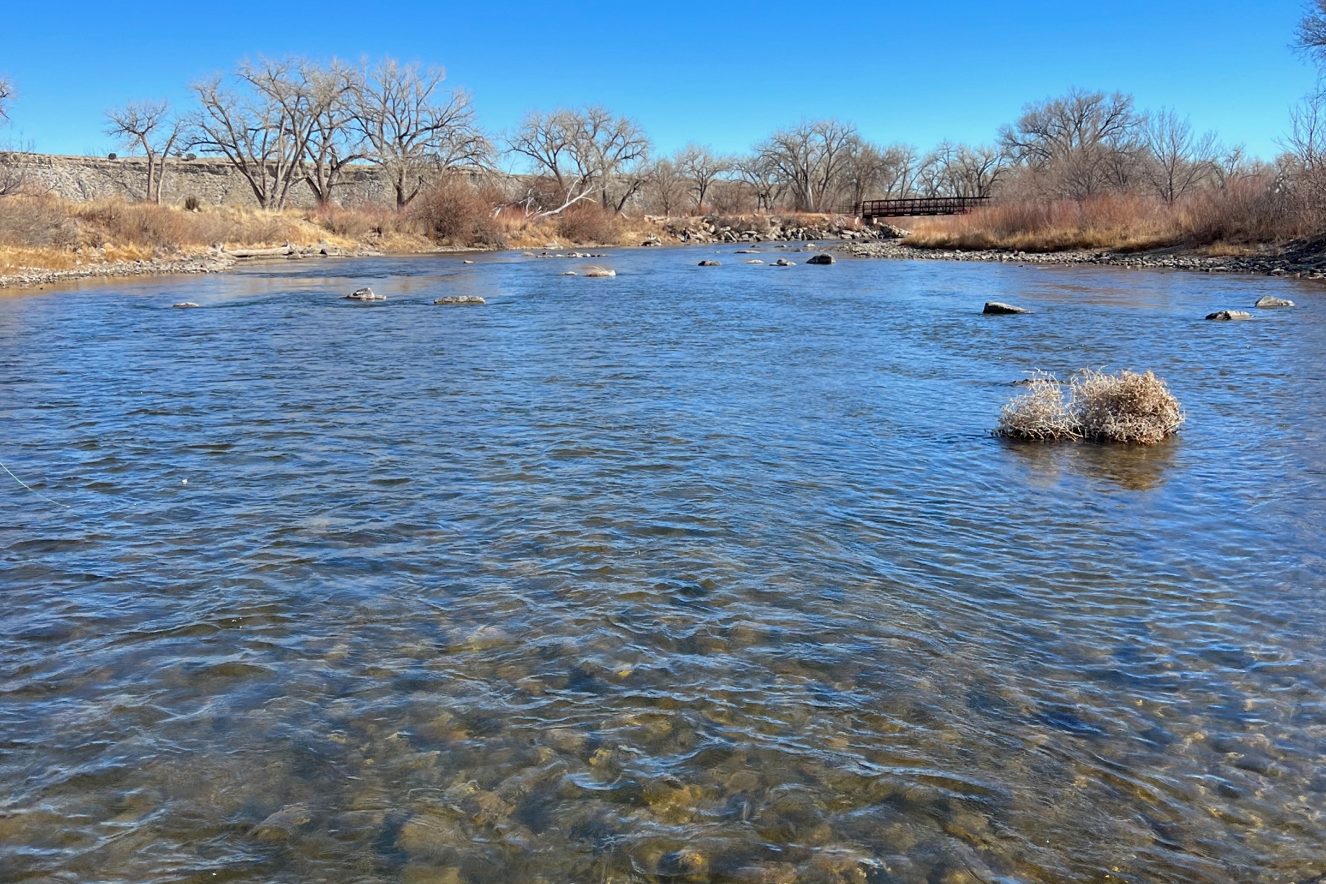 Arkansas River Pueblo Tailwater preview photo