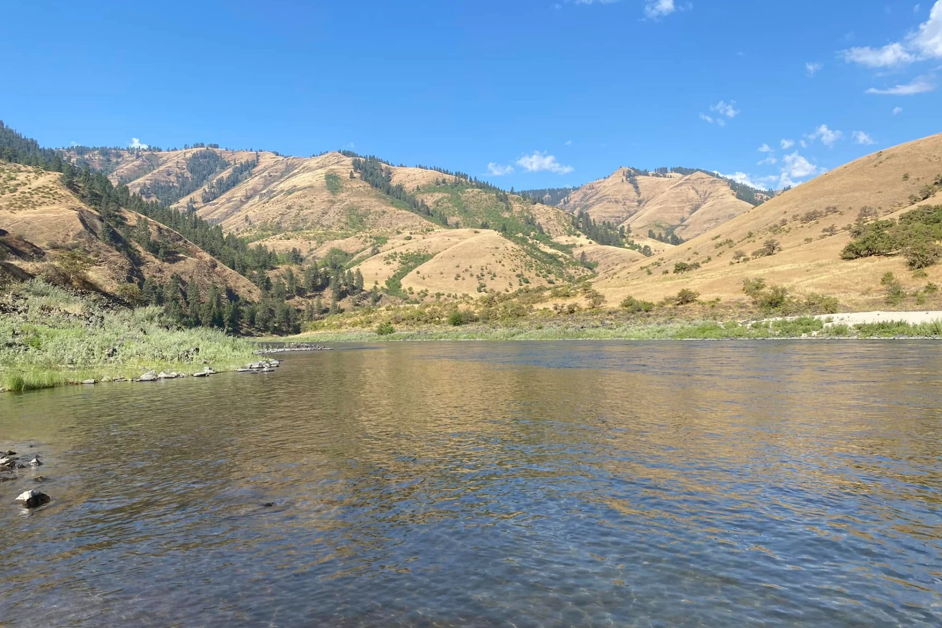 Salmon River - Lower
