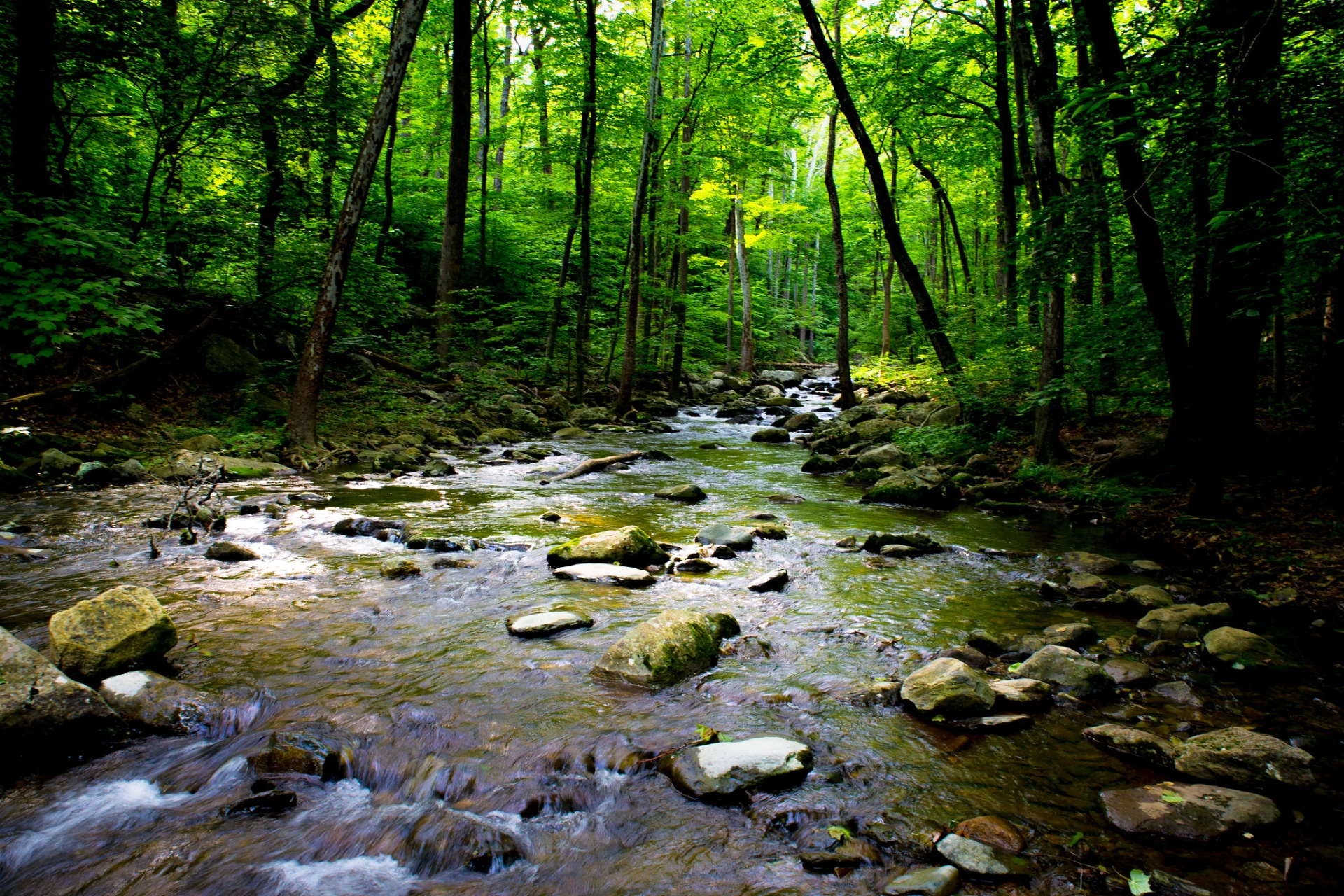 Shenandoah National Park preview photo