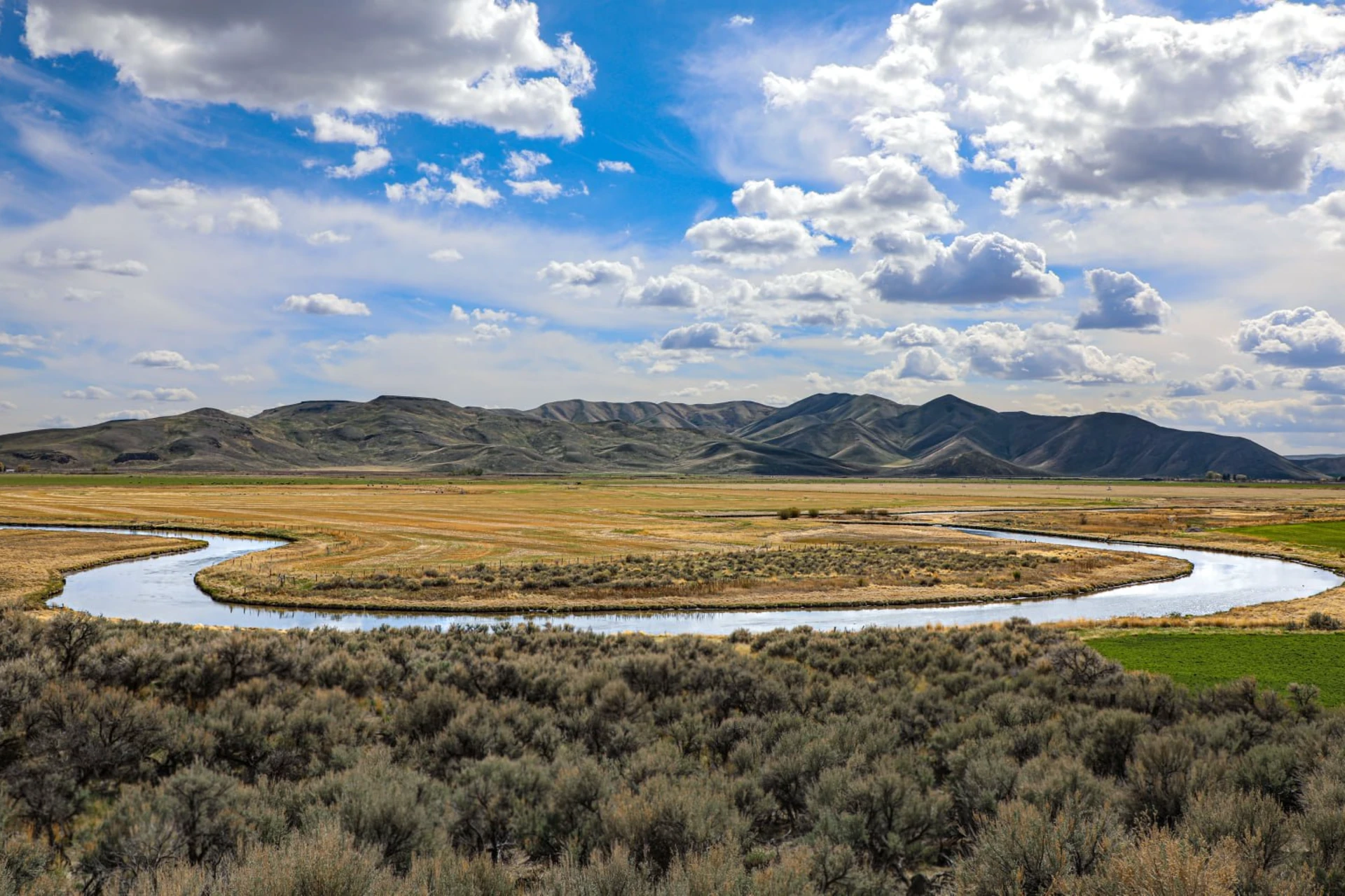 Silver Creek preview photo