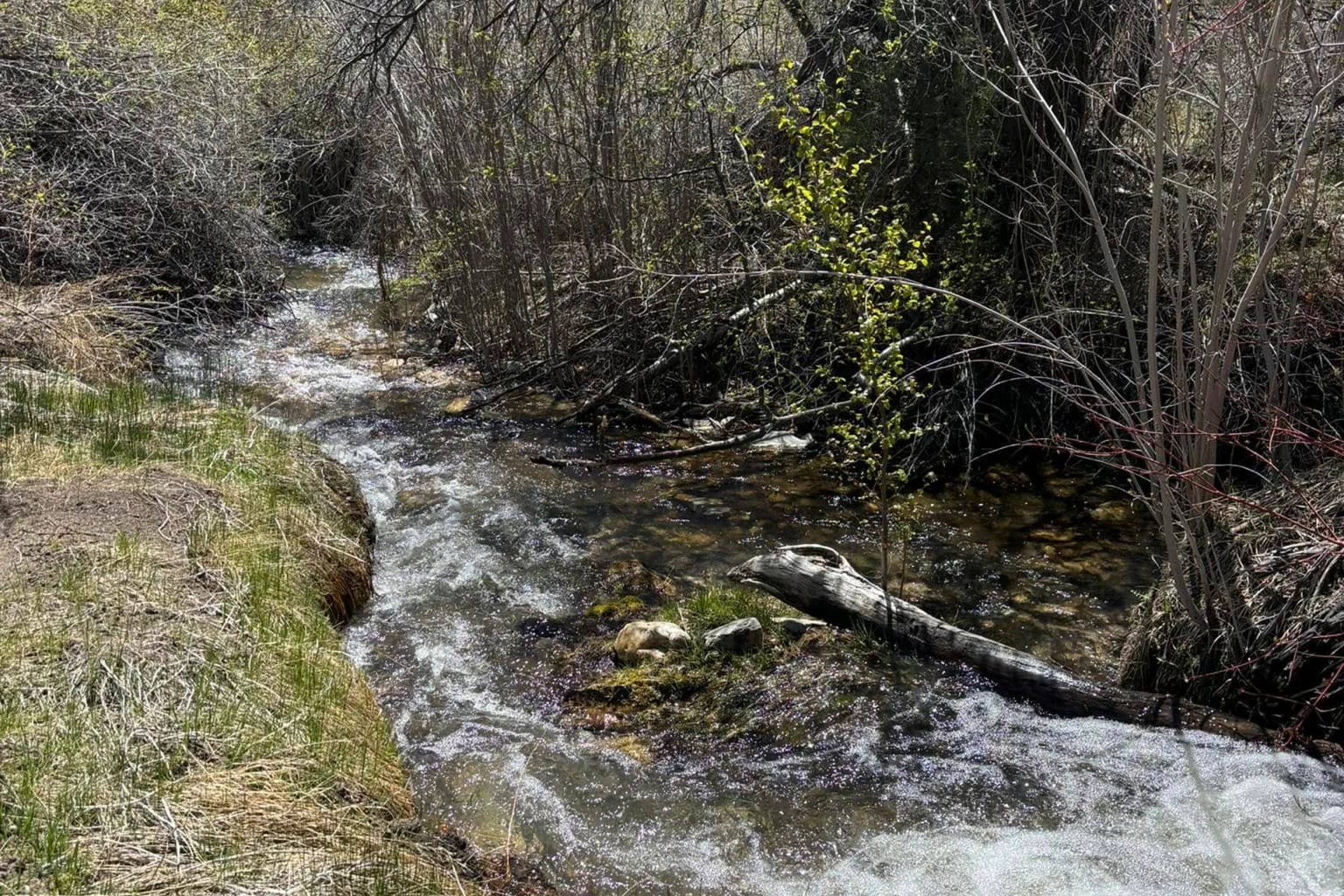Snake Creek preview photo