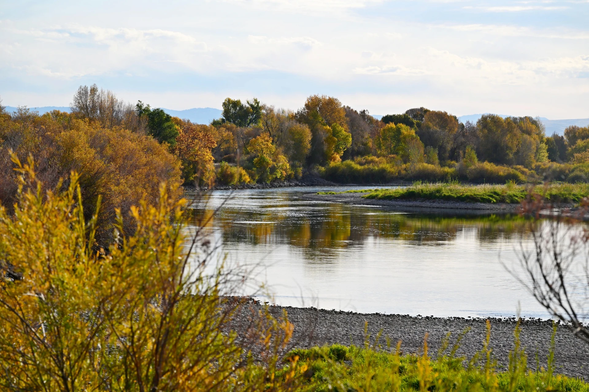 Snake River - Project X