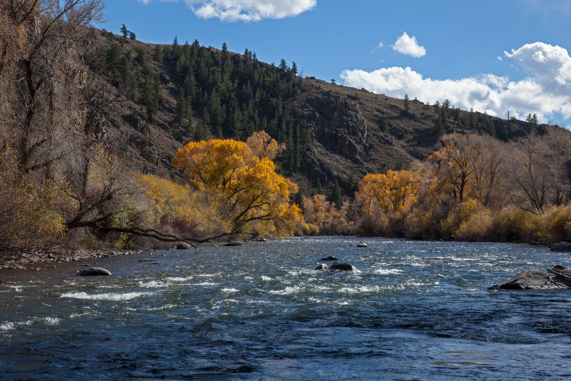 Taylor River preview photo