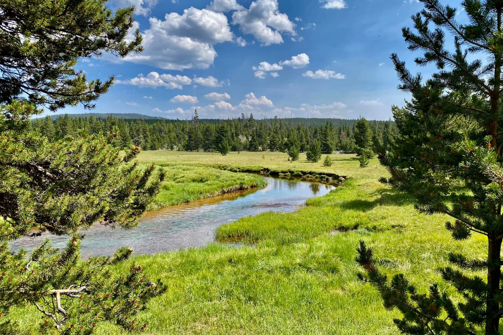 Tongue River - South preview photo
