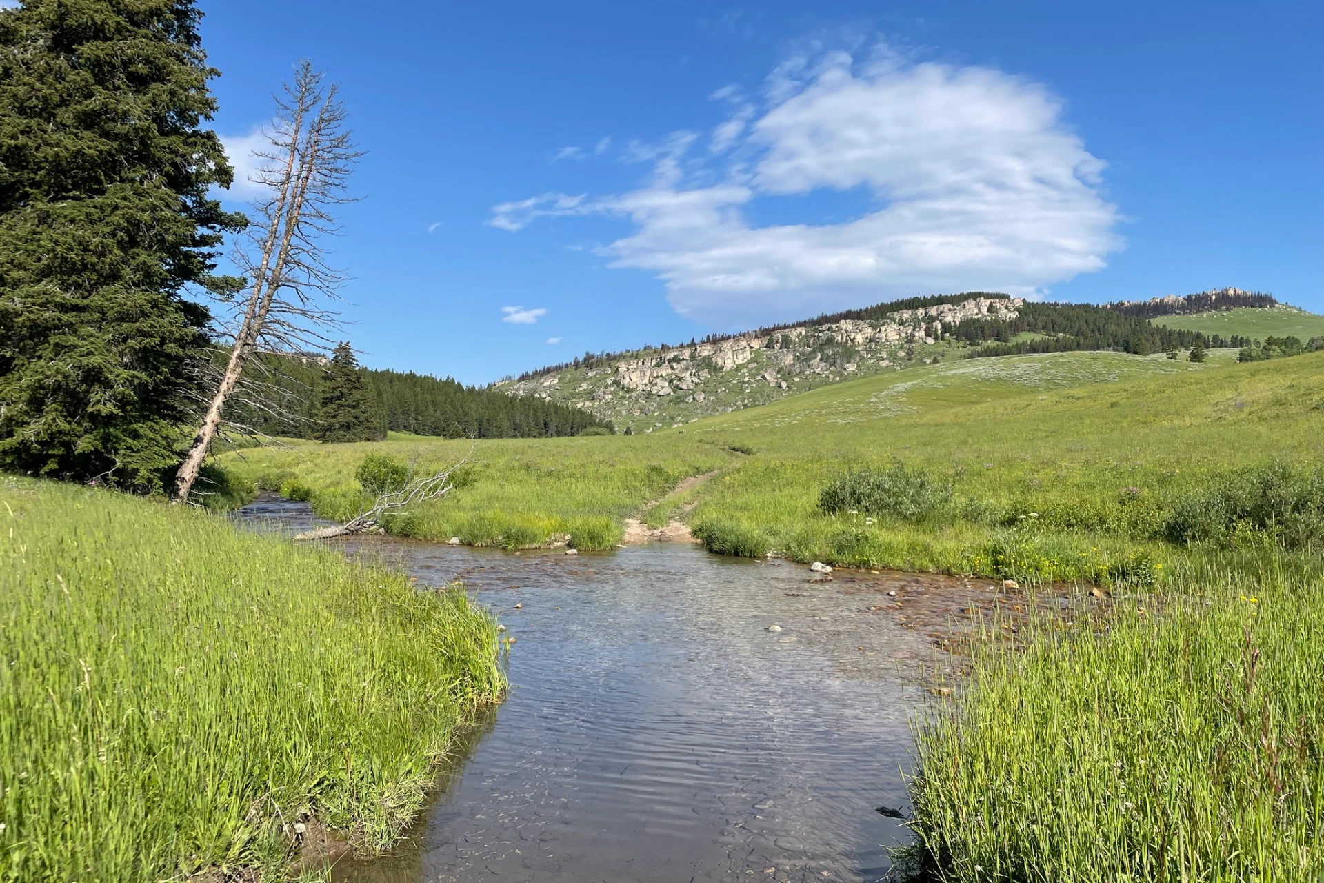 Tongue River preview photo