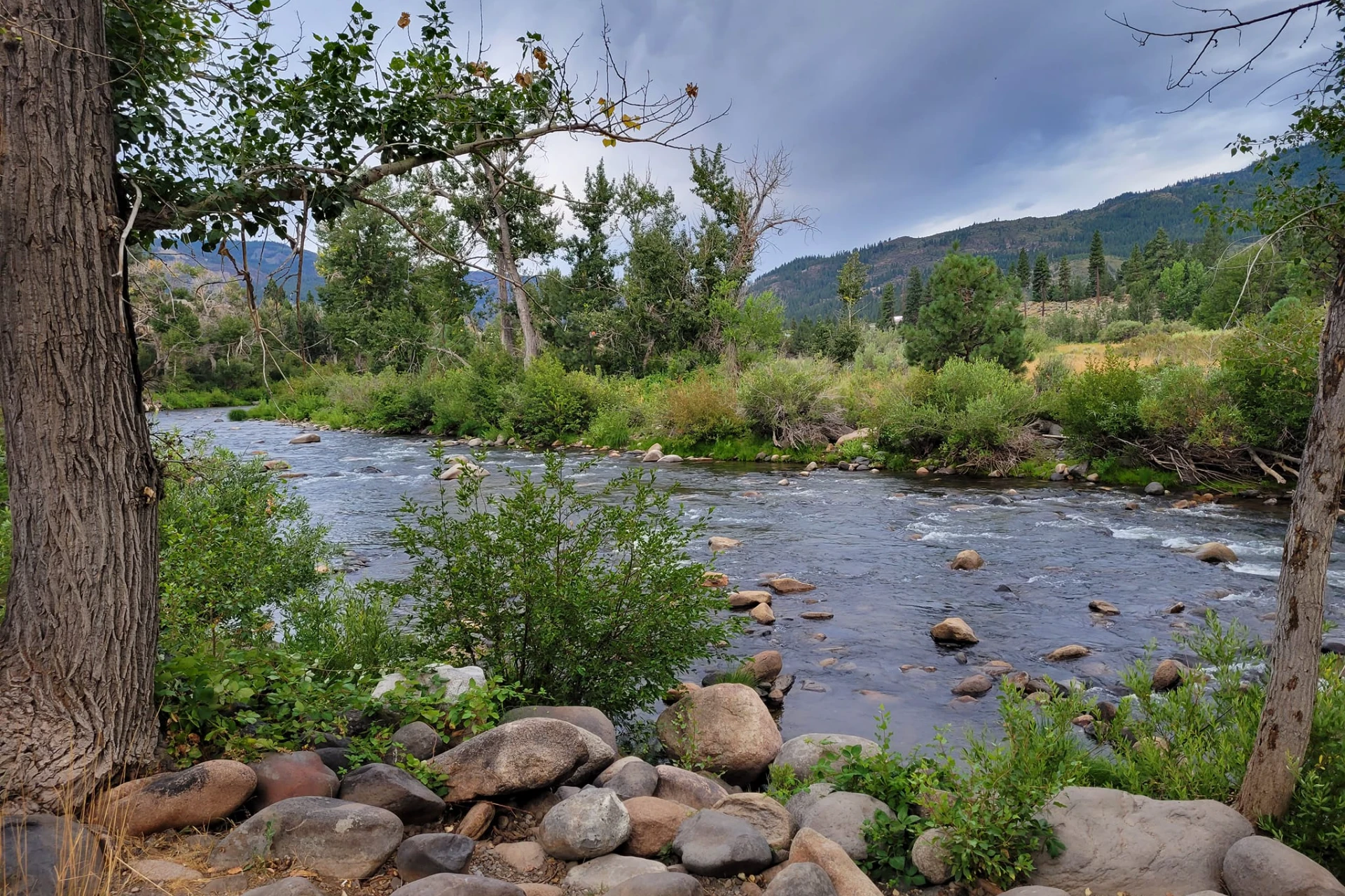 Truckee River preview photo