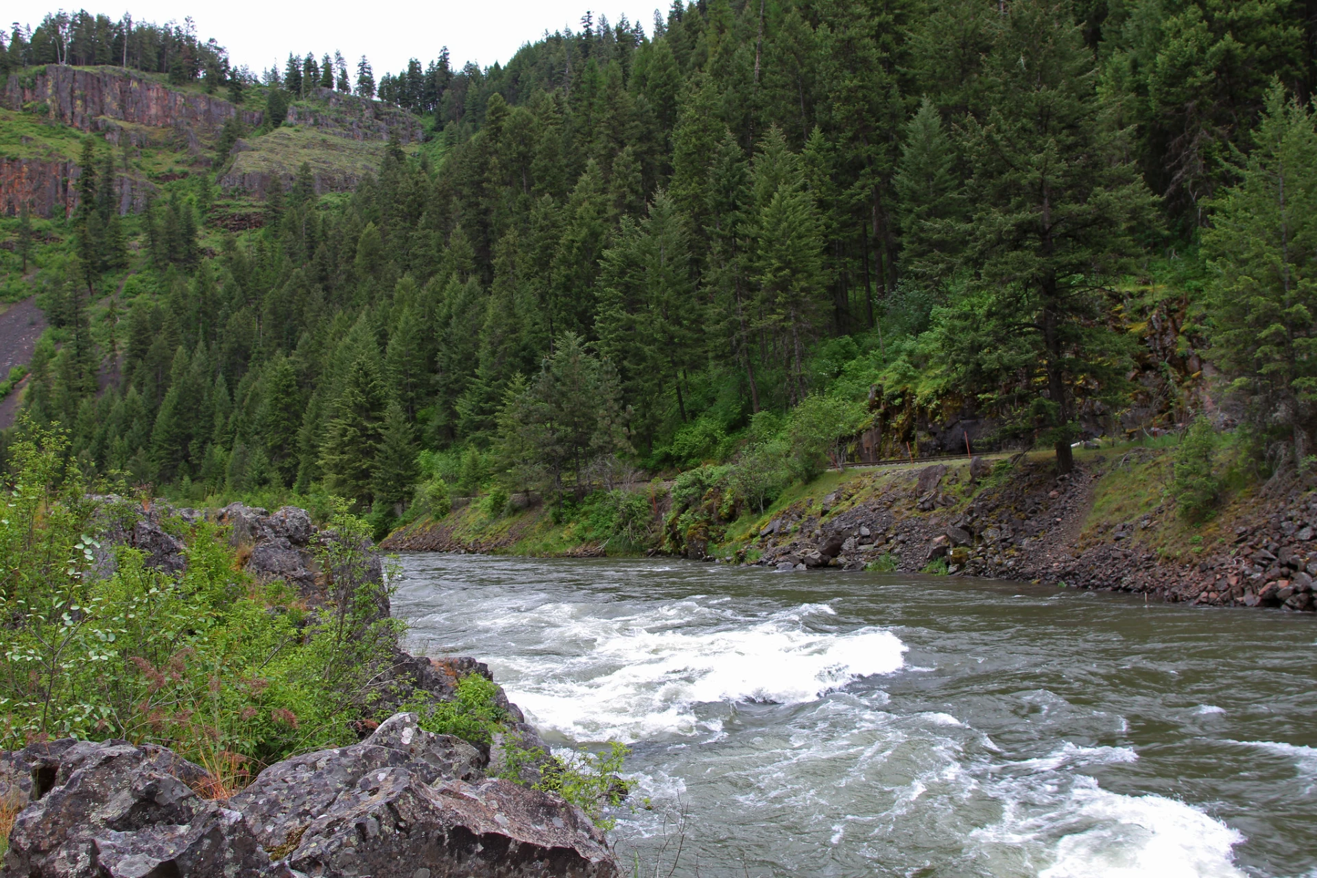 Wallowa River preview photo