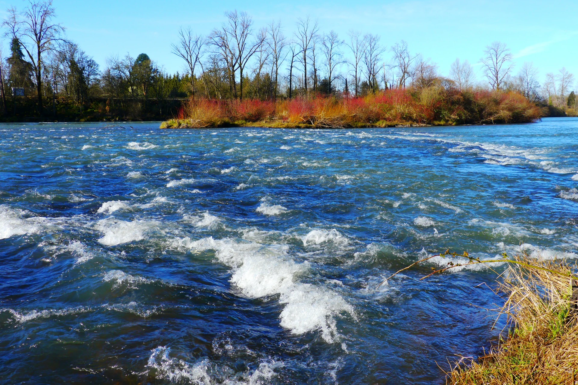 Willamette River preview photo