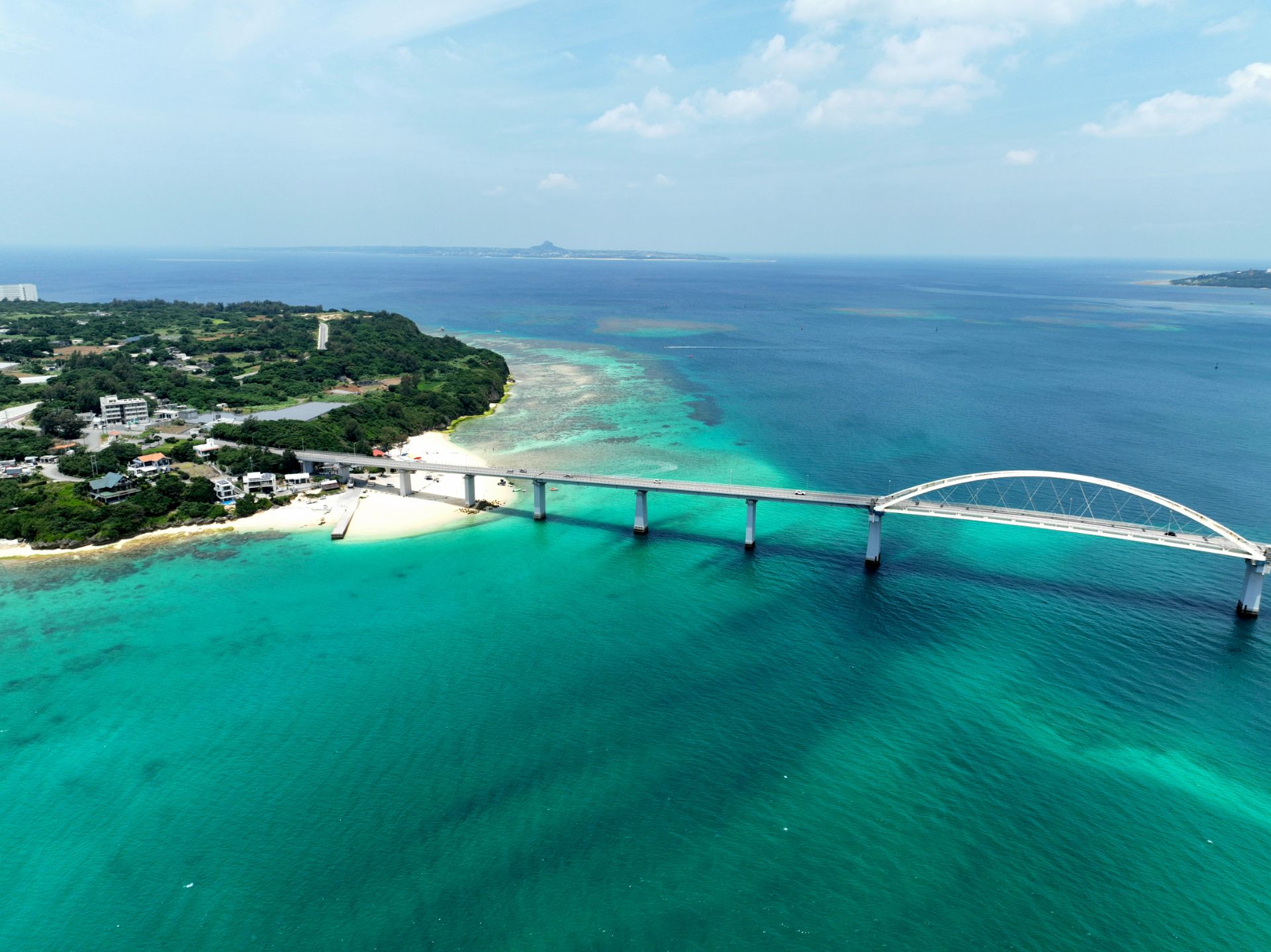 アンチ浜