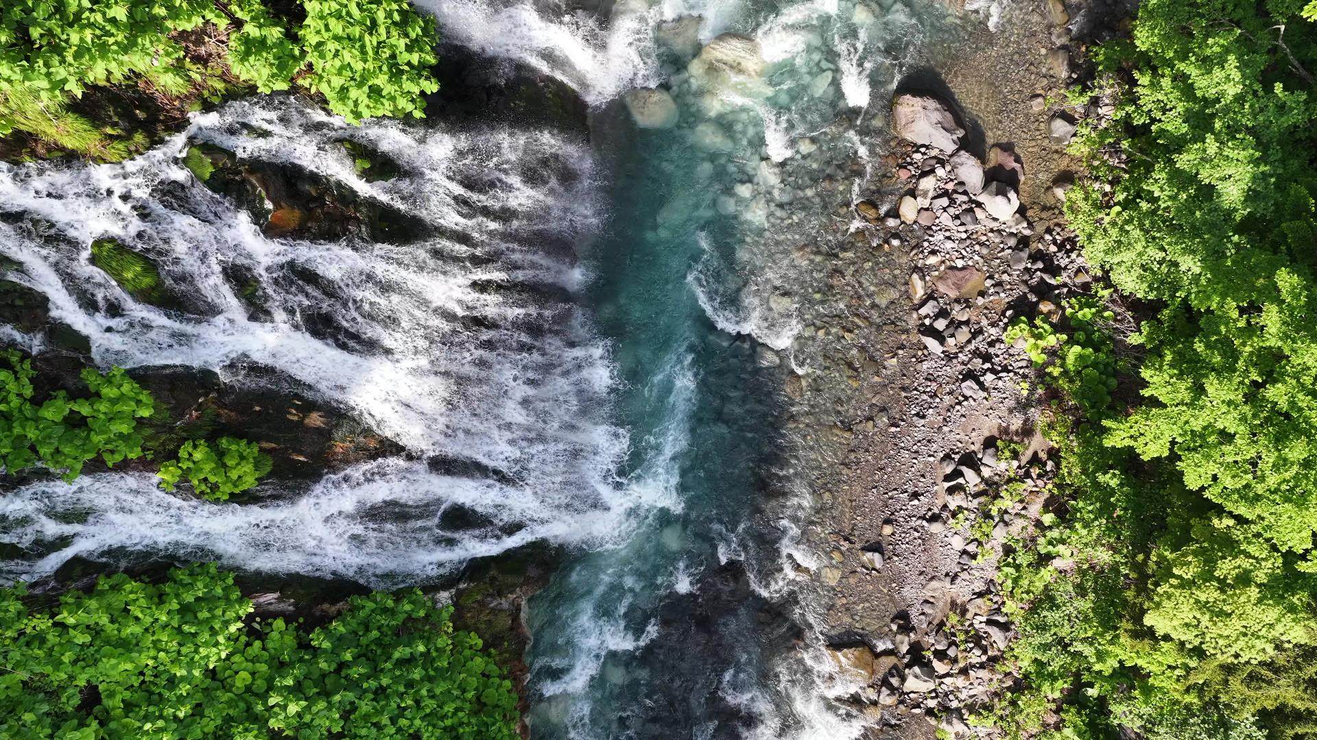 白ひげの滝