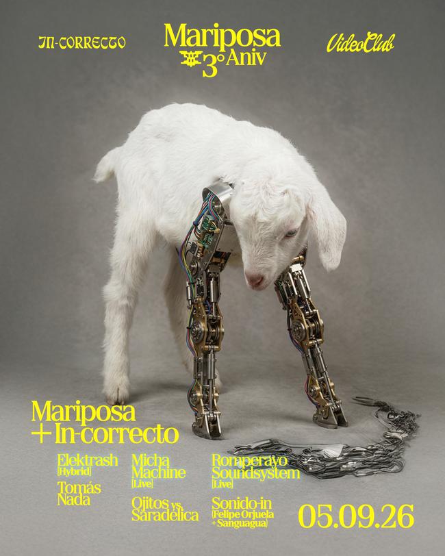 Mariposa x In-correcto | Sept. 05