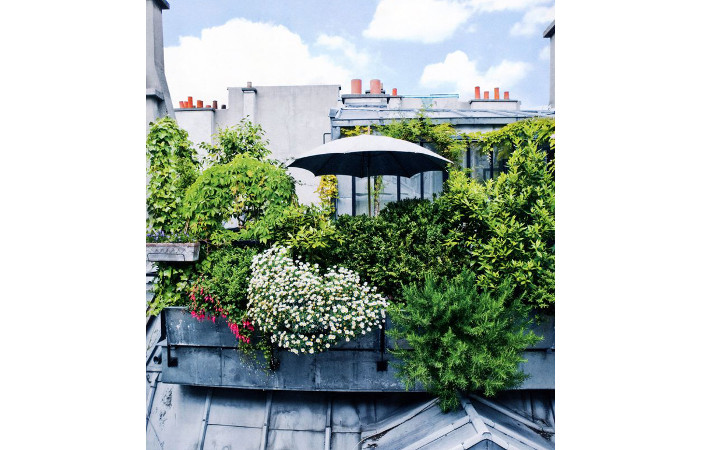 urban city rooftop garden