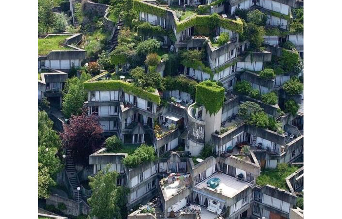 urban city rooftop garden