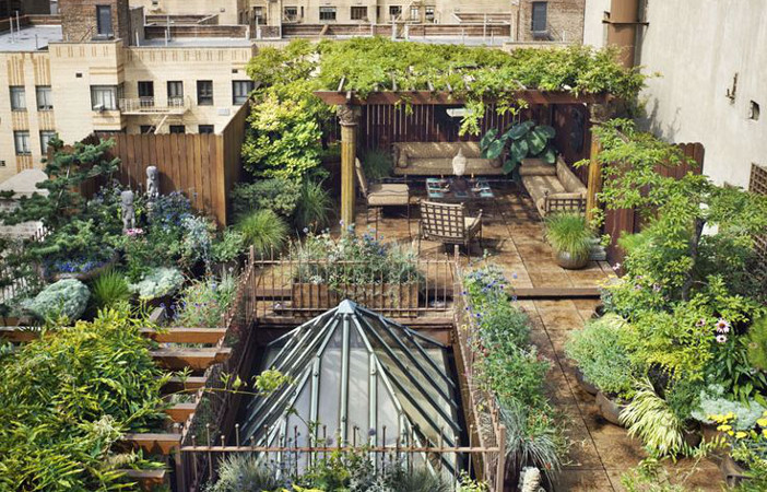 urban city rooftop garden