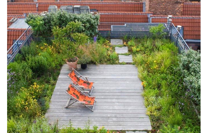 urban city rooftop garden