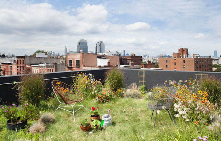 urban city rooftop garden